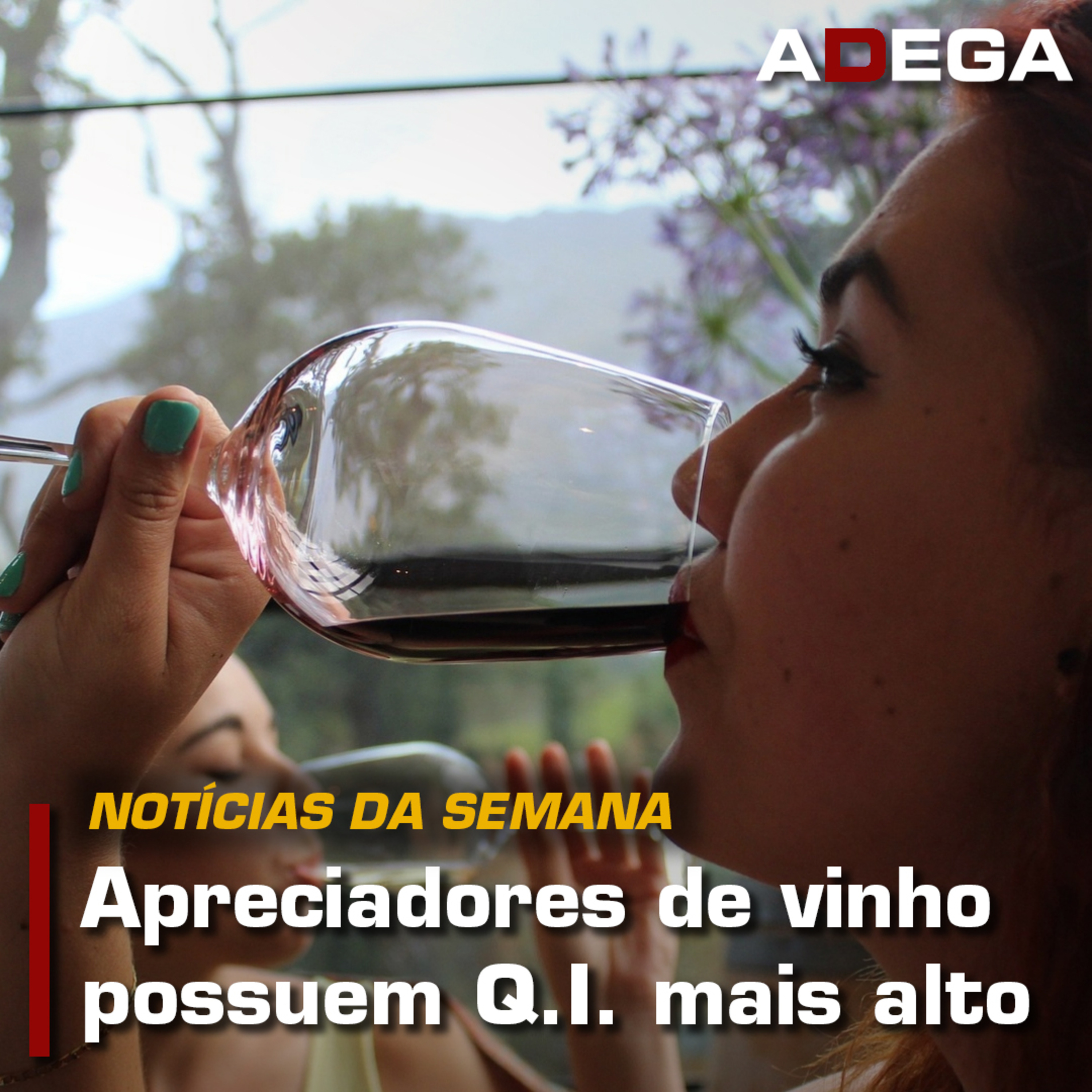 Revista ADEGA