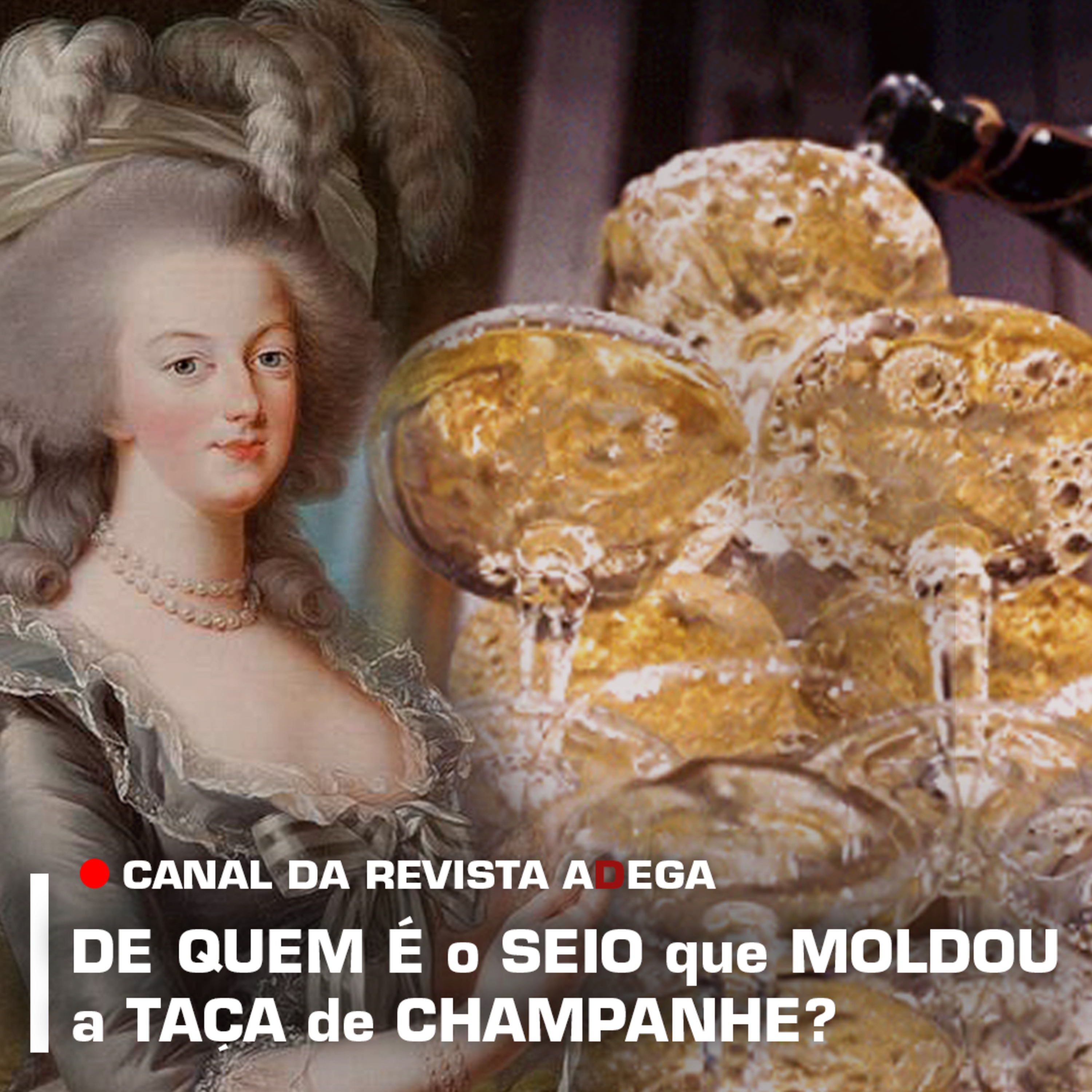 Revista ADEGA