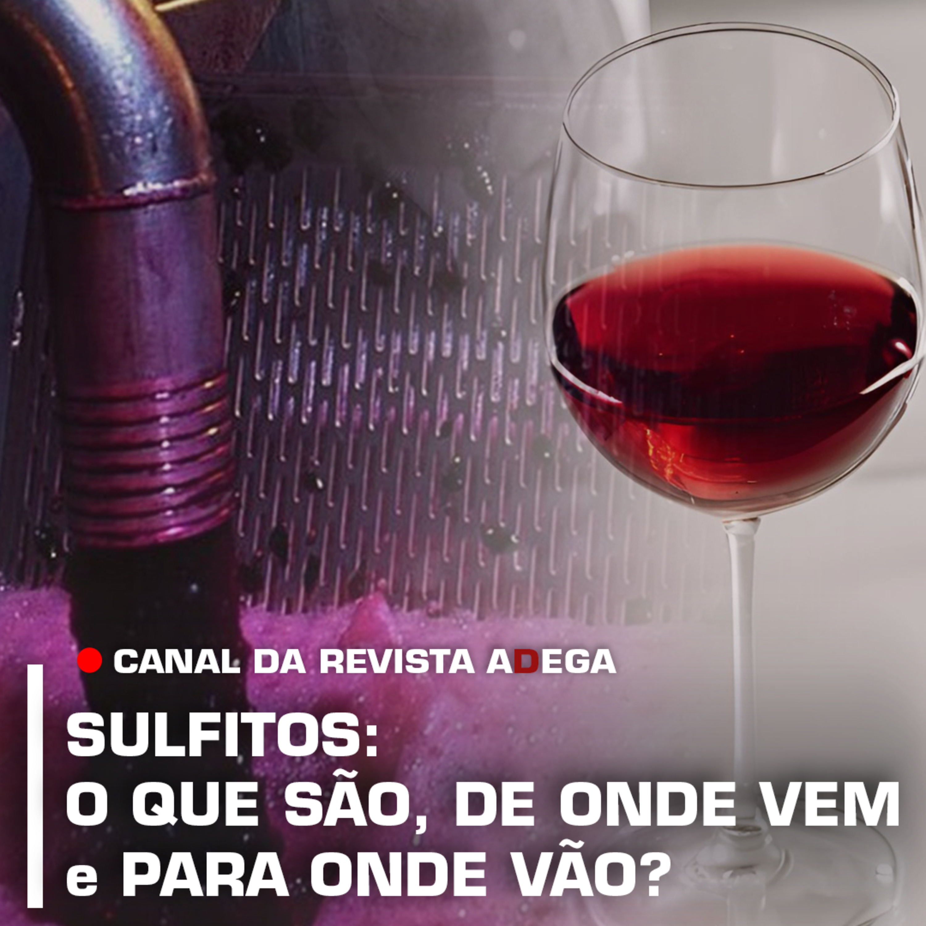 Revista ADEGA