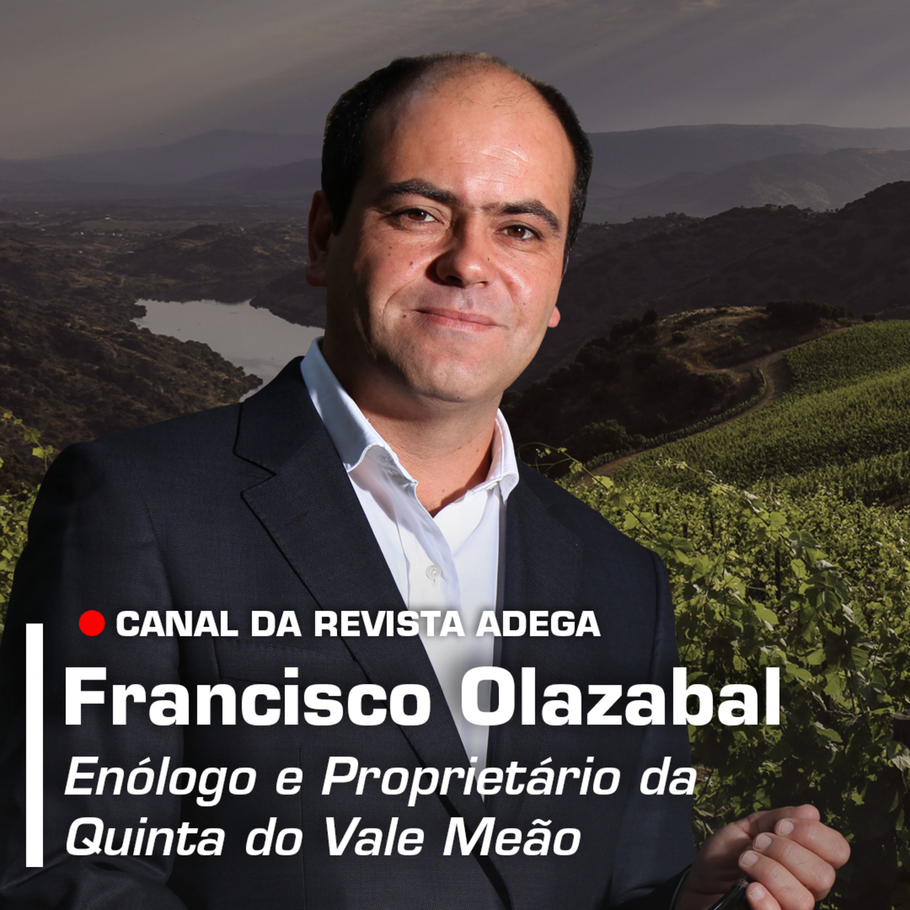 Revista ADEGA