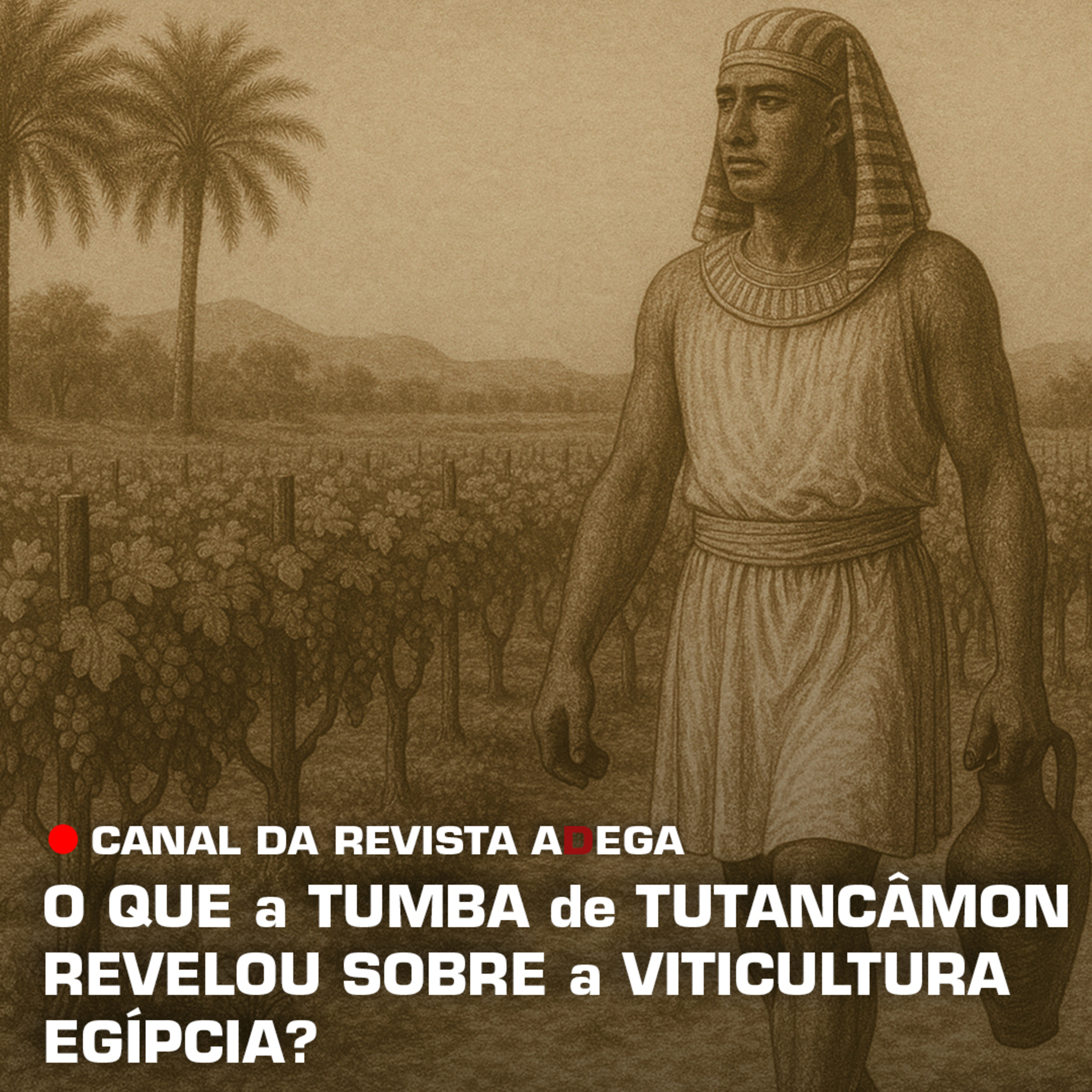Revista ADEGA
