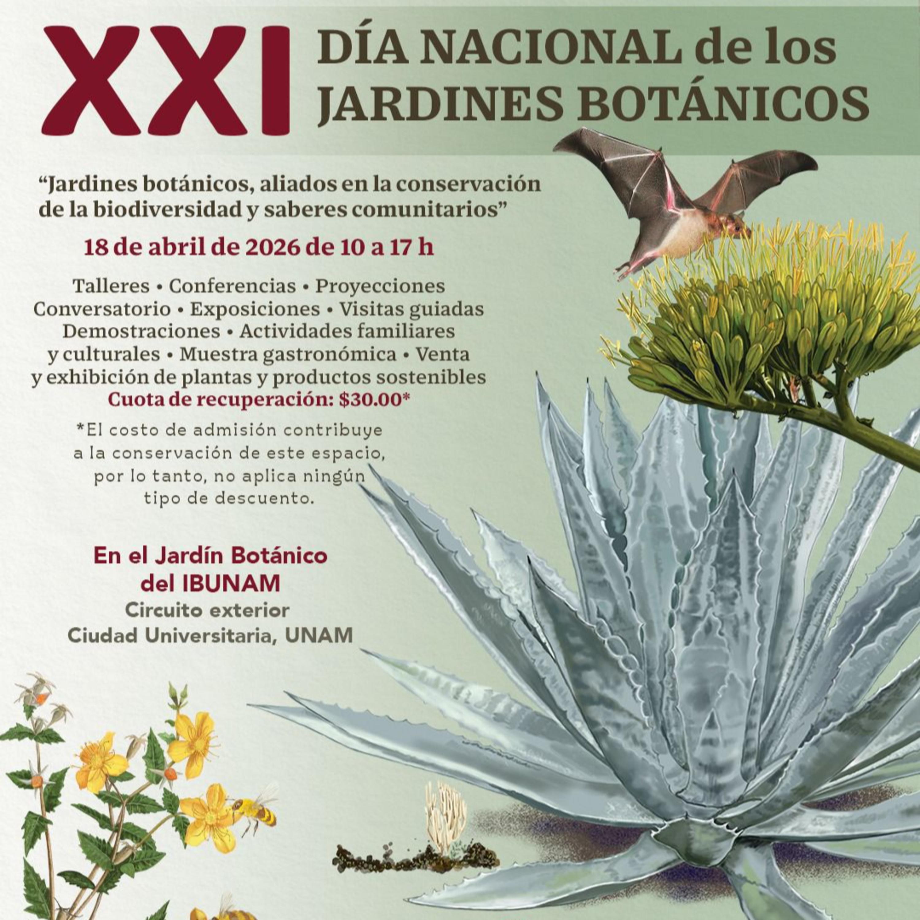 Portada de CIENCIANDO