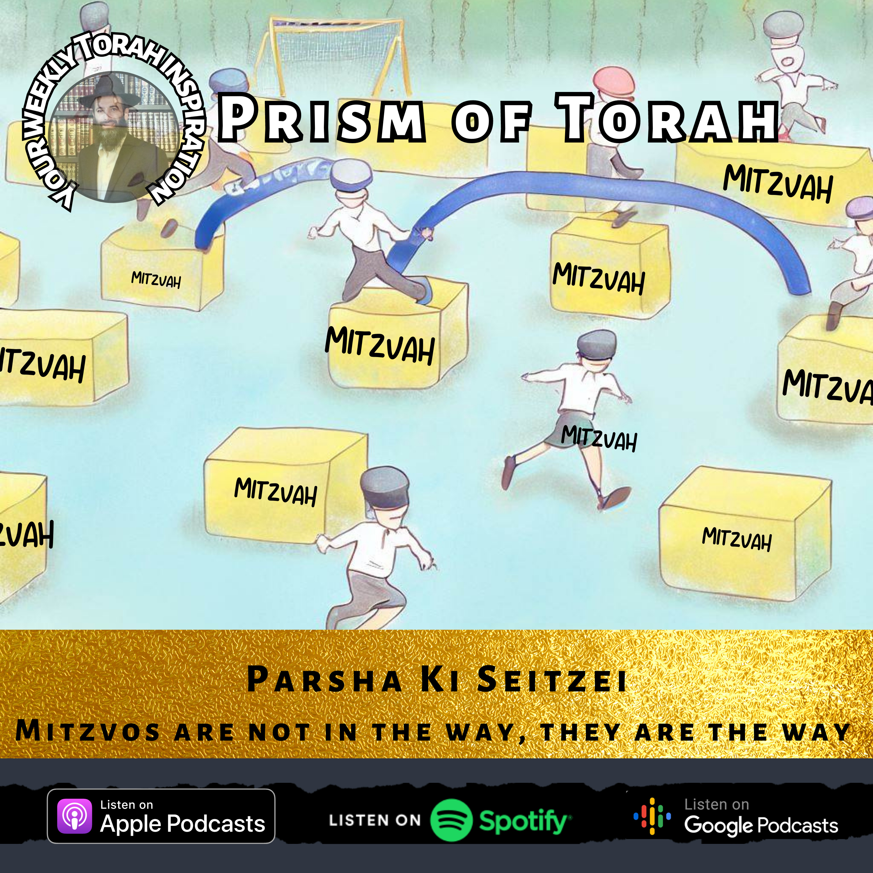 Parsha Ki Seitzei– Mitzvos are not in the way, they are the way  episode artwork