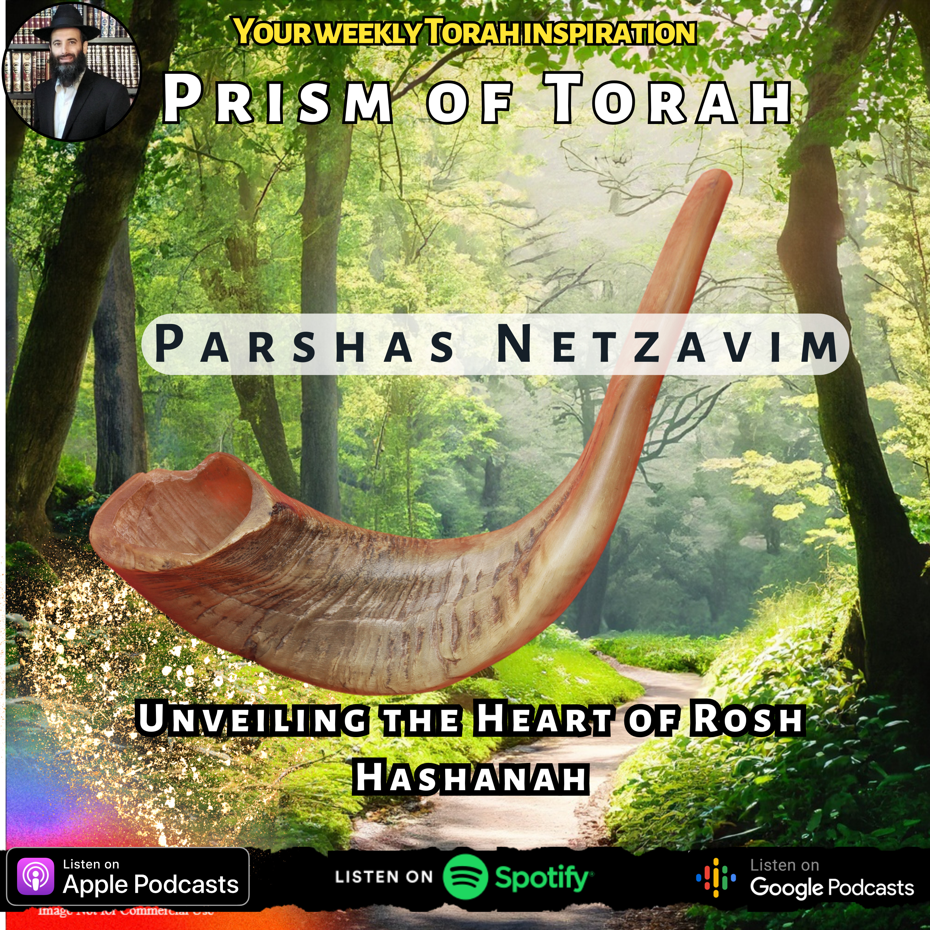 Parshas Netzavim Unveiling the Heart of Rosh Hashanah episode artwork