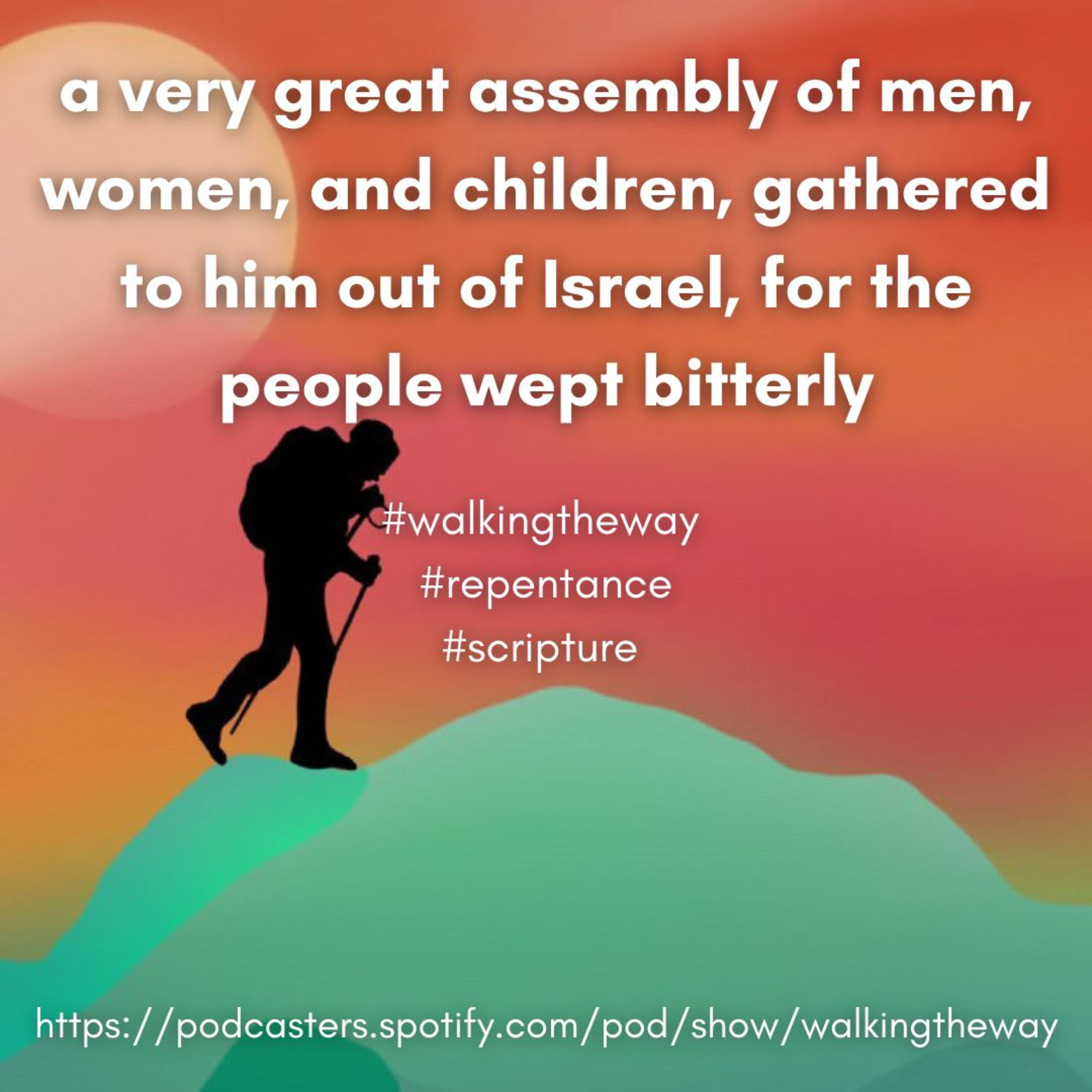Walking the Way 14th October 2024 - Fine, fine episode artwork