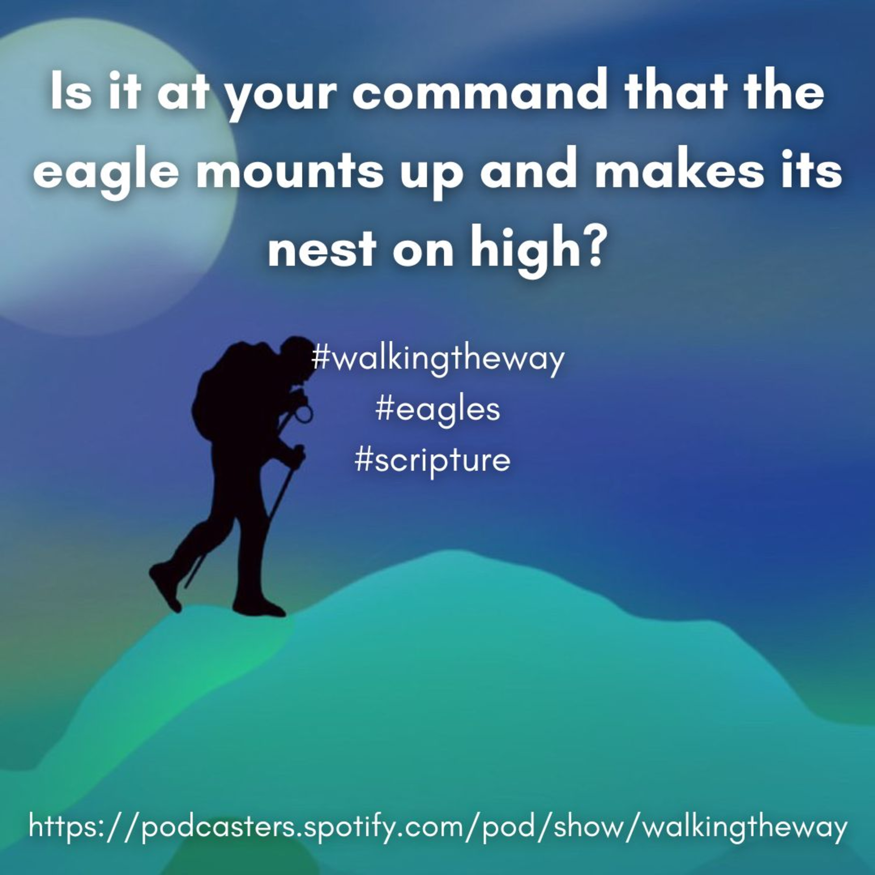 Walking the Way 23rd Jnuary 2025 - Eagle Heights episode artwork