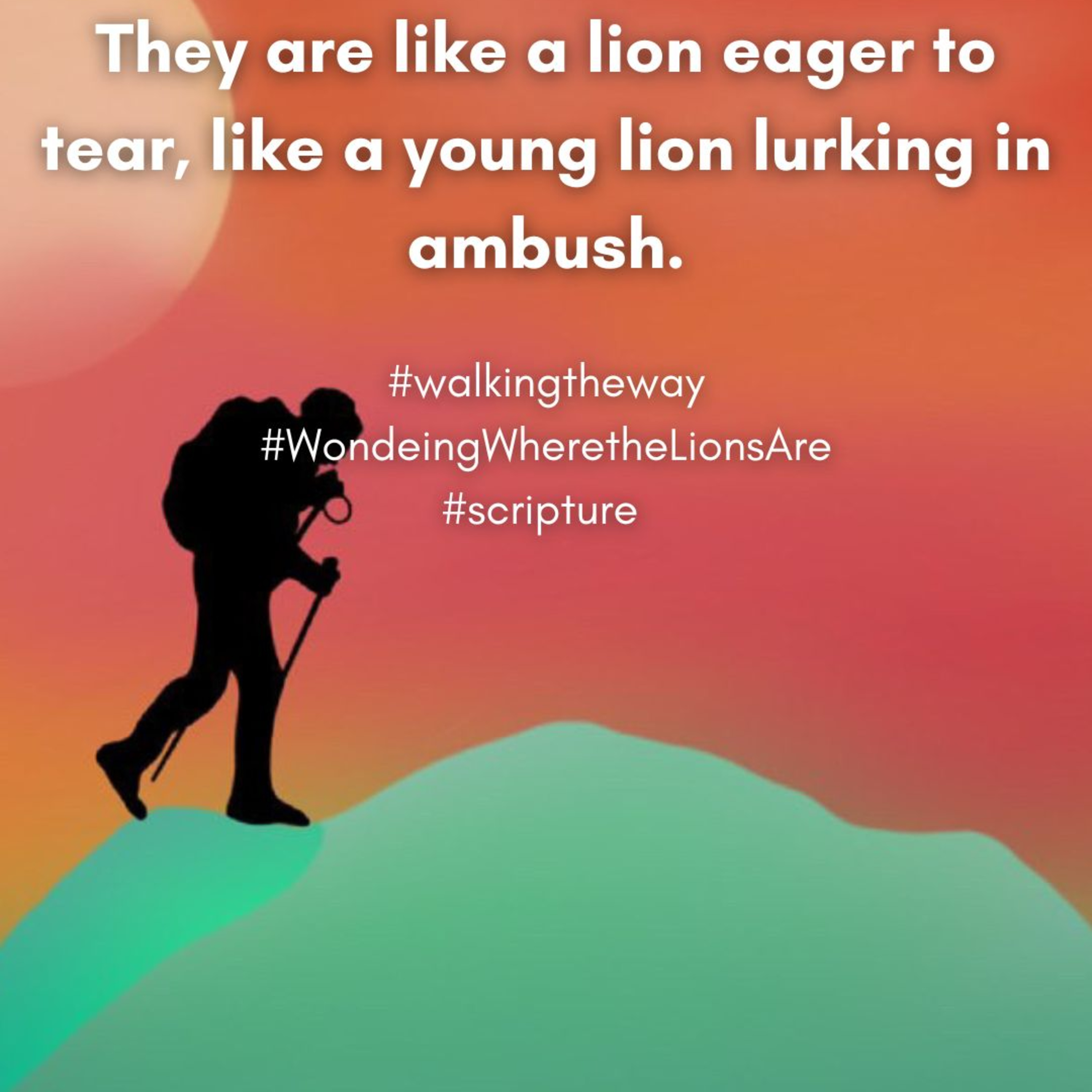 Walking the Way 24th February 2025 - Wondering Where the Lions Are episode artwork