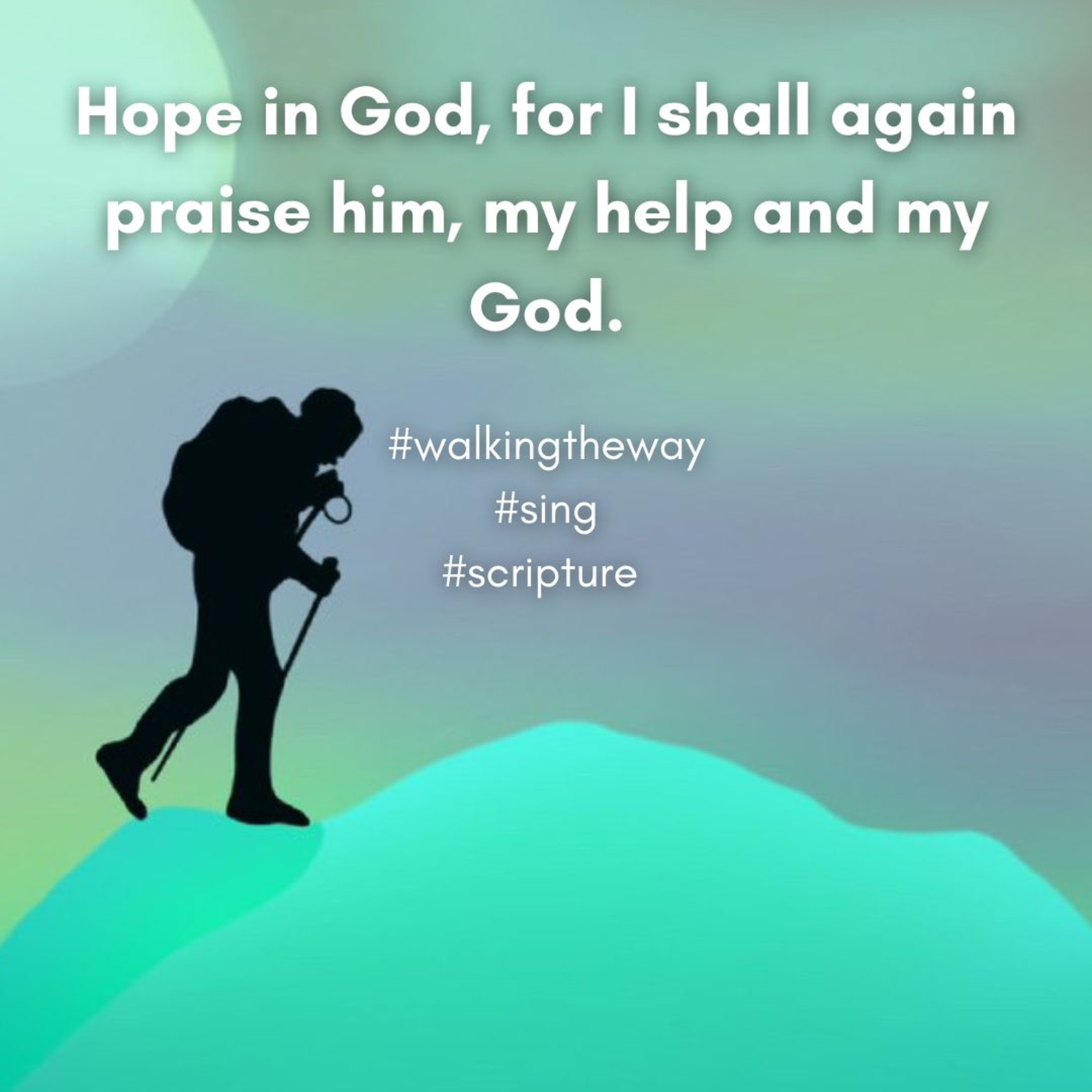 Walking the way: A daily devotional walk