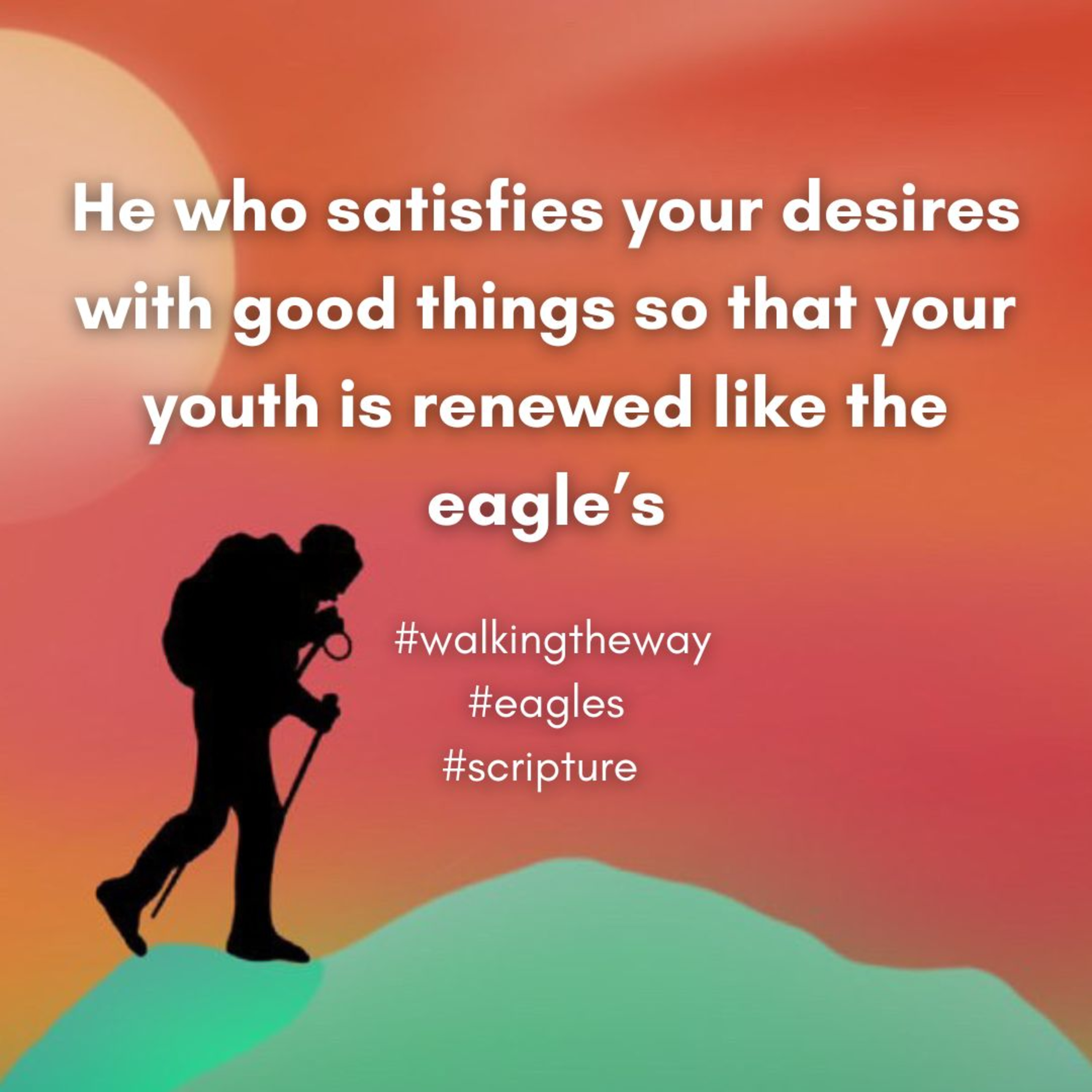 Walking the Way 30th June 2025 - Eagle when she flies episode artwork