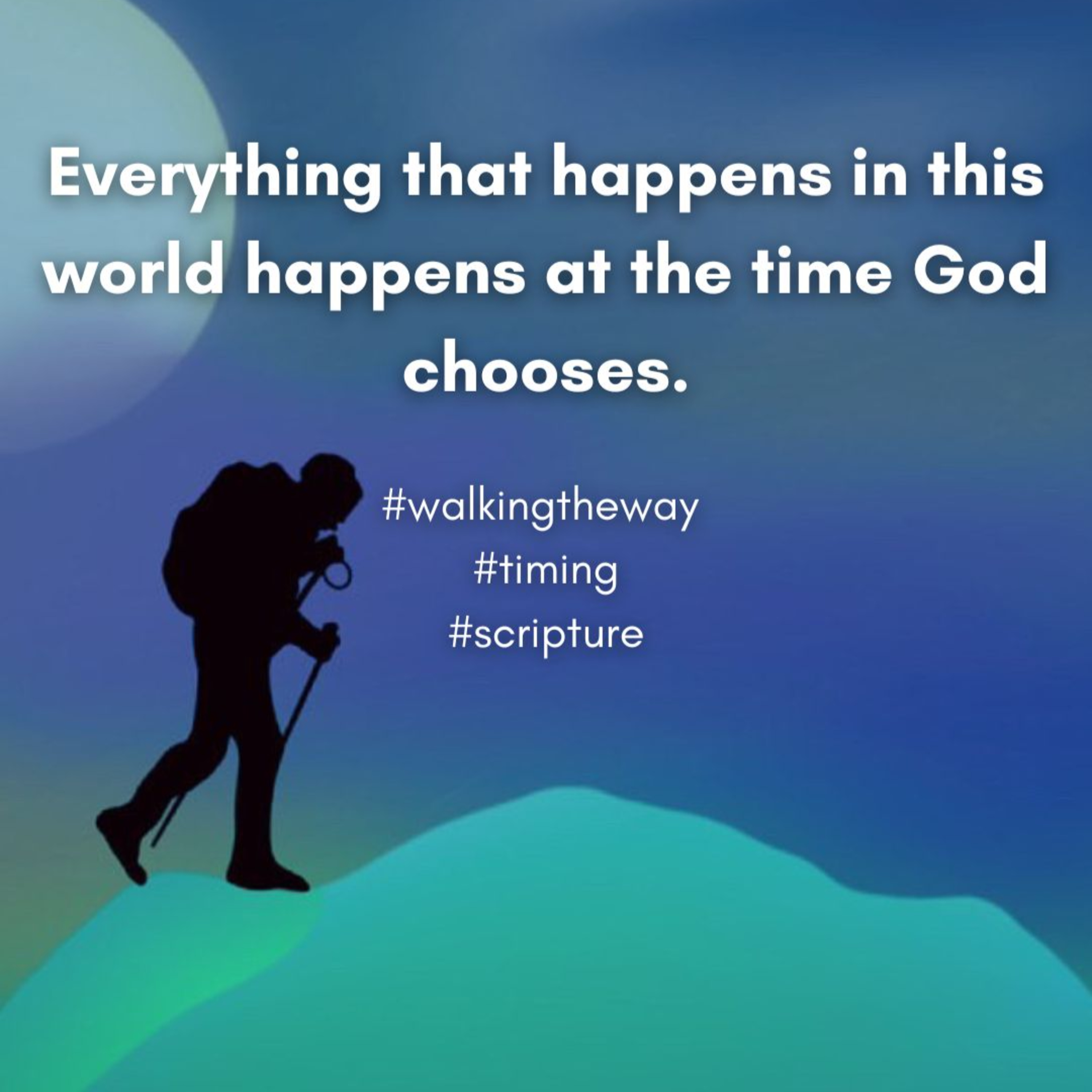 Walking the Way 10th November 2025 - Timing episode artwork