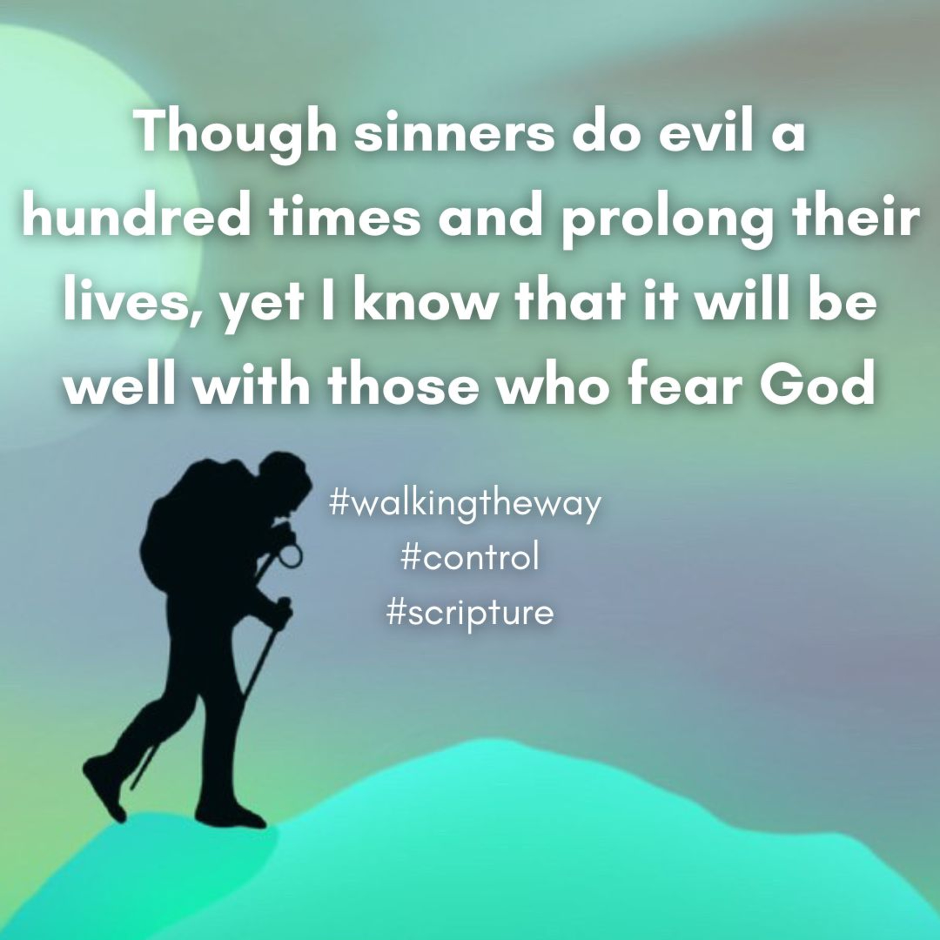 Walking the Way 17th November 2025 - Light in the darkness