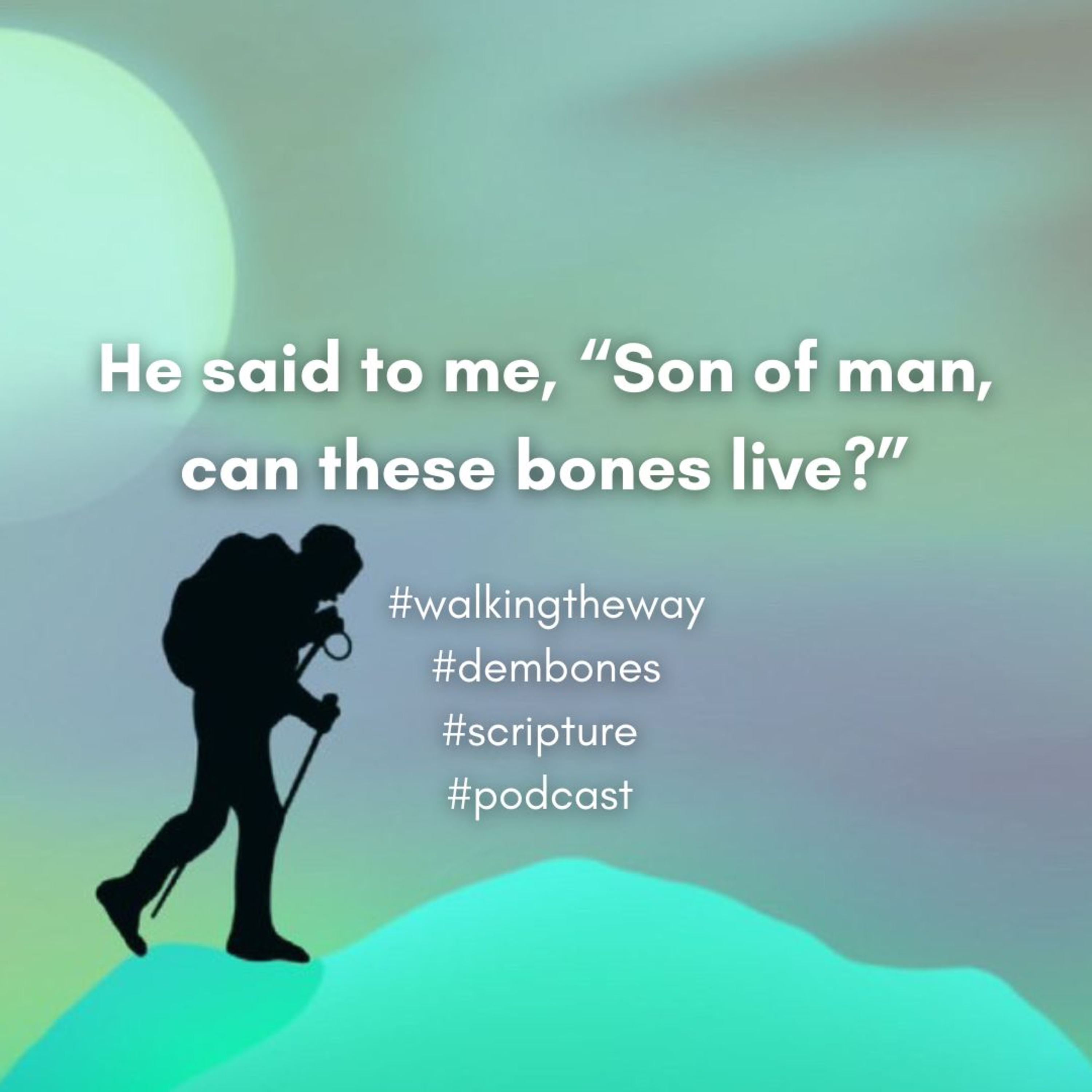 Walking the Way 12th August 2026 - Dem bones episode artwork