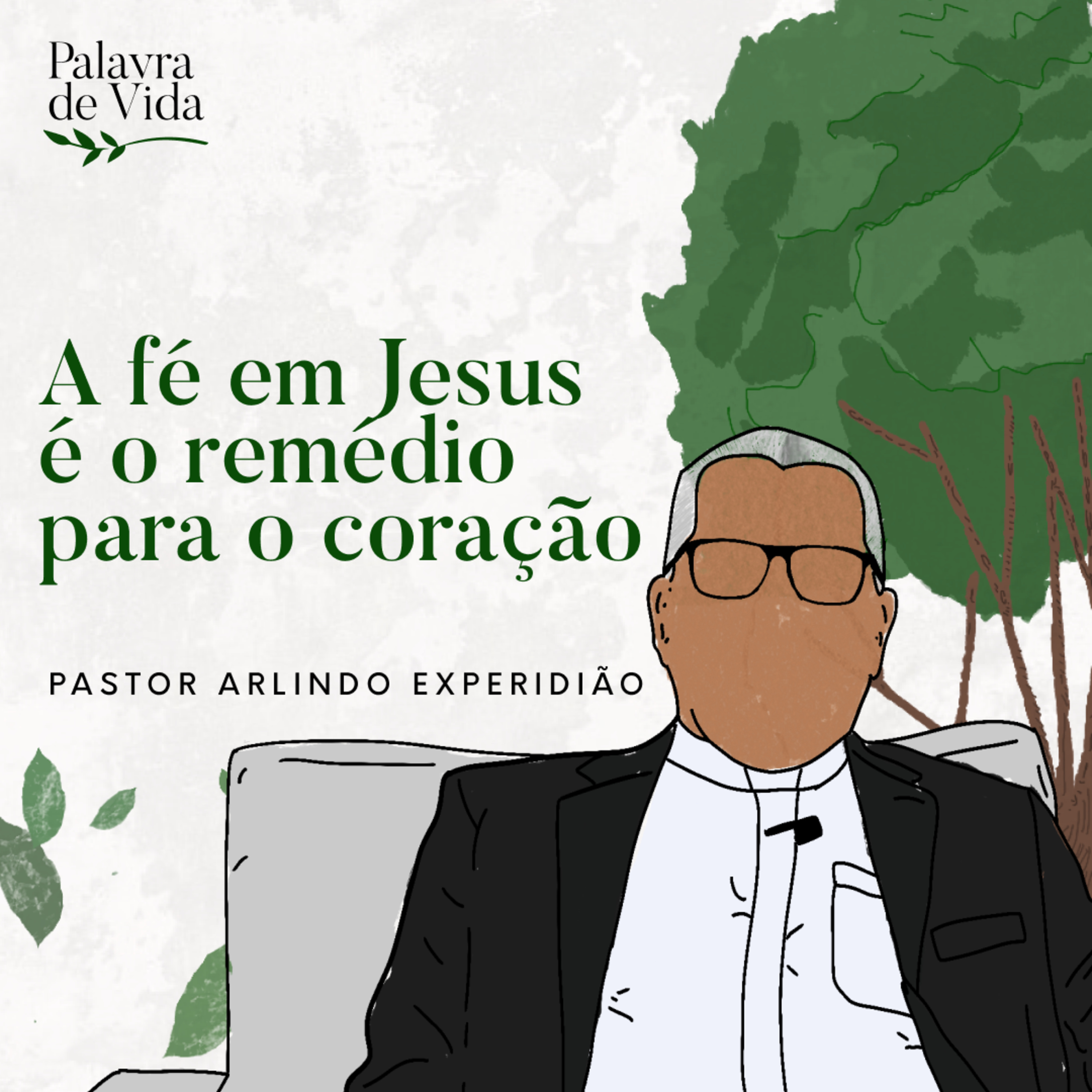 #202 Palavras de Vida - A fé em Jesus é o remédio para o coração episode artwork