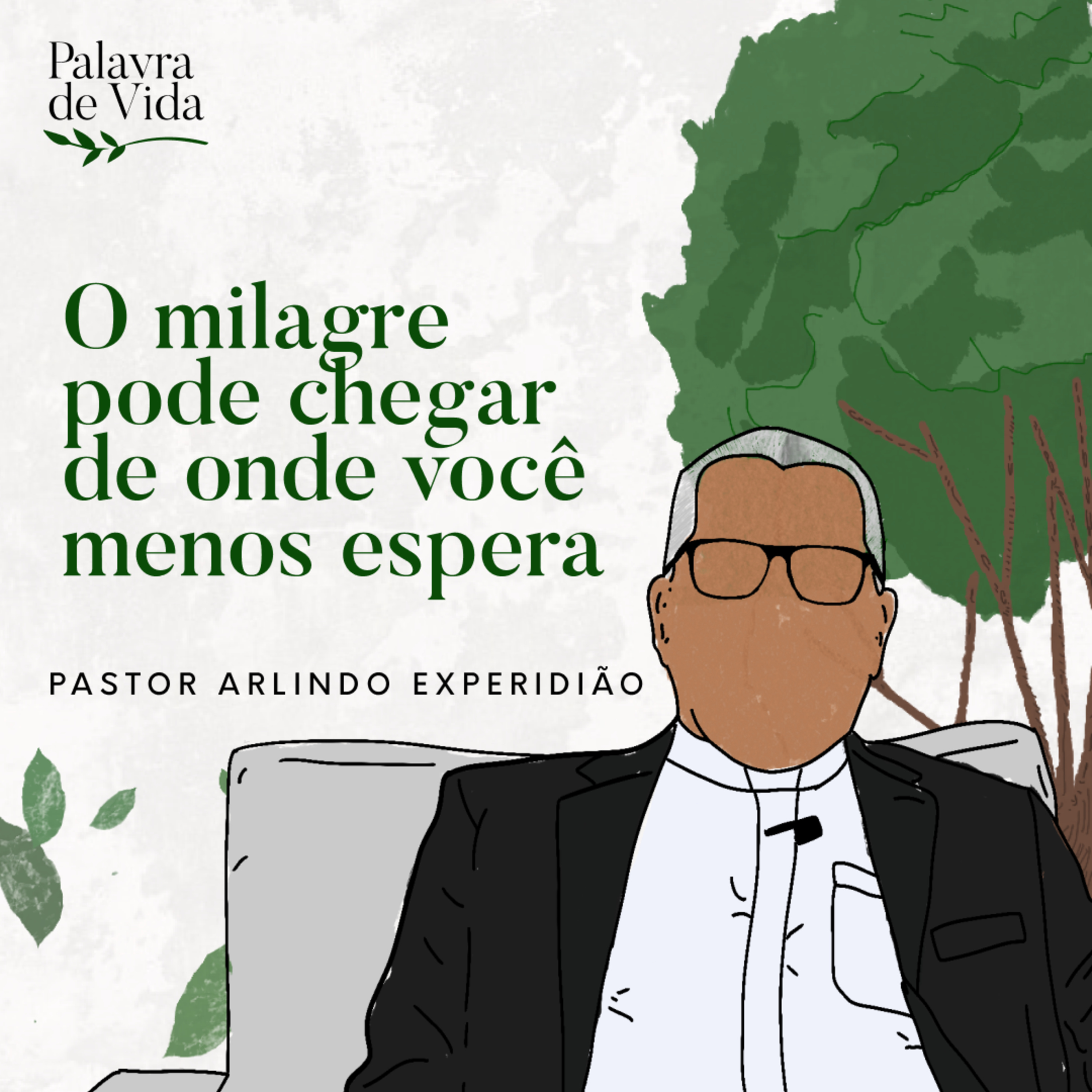 #215 Palavras de Vida - O milagre pode chegar de onde você menos espera episode artwork