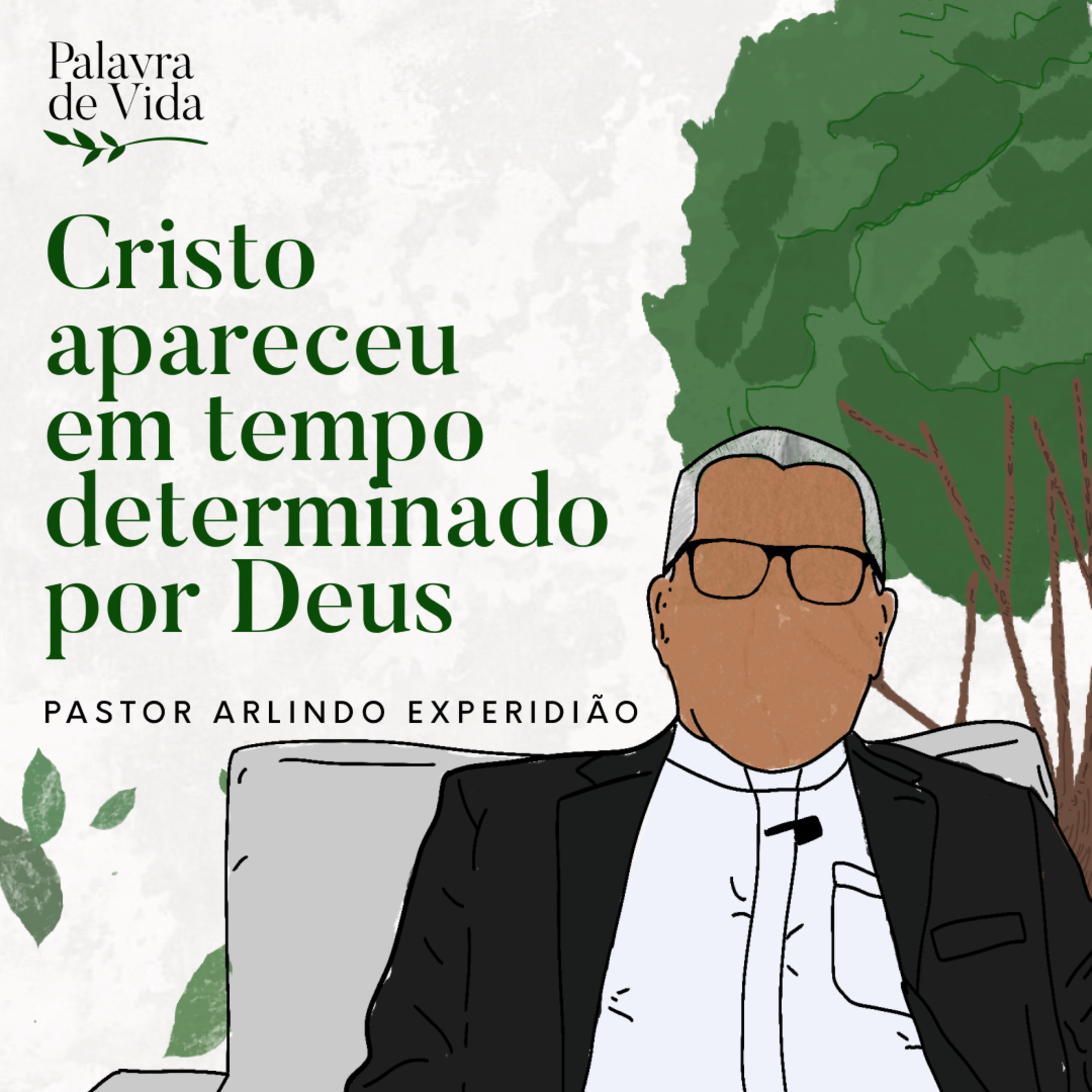 #246 Palavras de Vida - Cristo apareceu num tempo determinado por Deus episode artwork