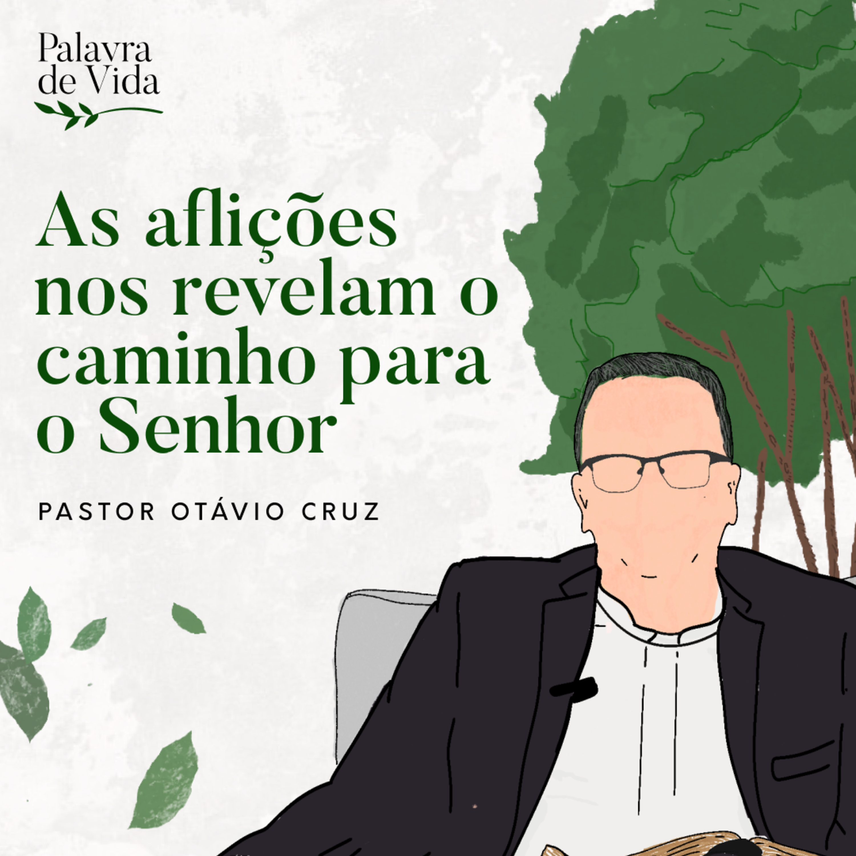 #254 Palavras de Vida - As aflições nos revelam o caminho para o Senhor episode artwork