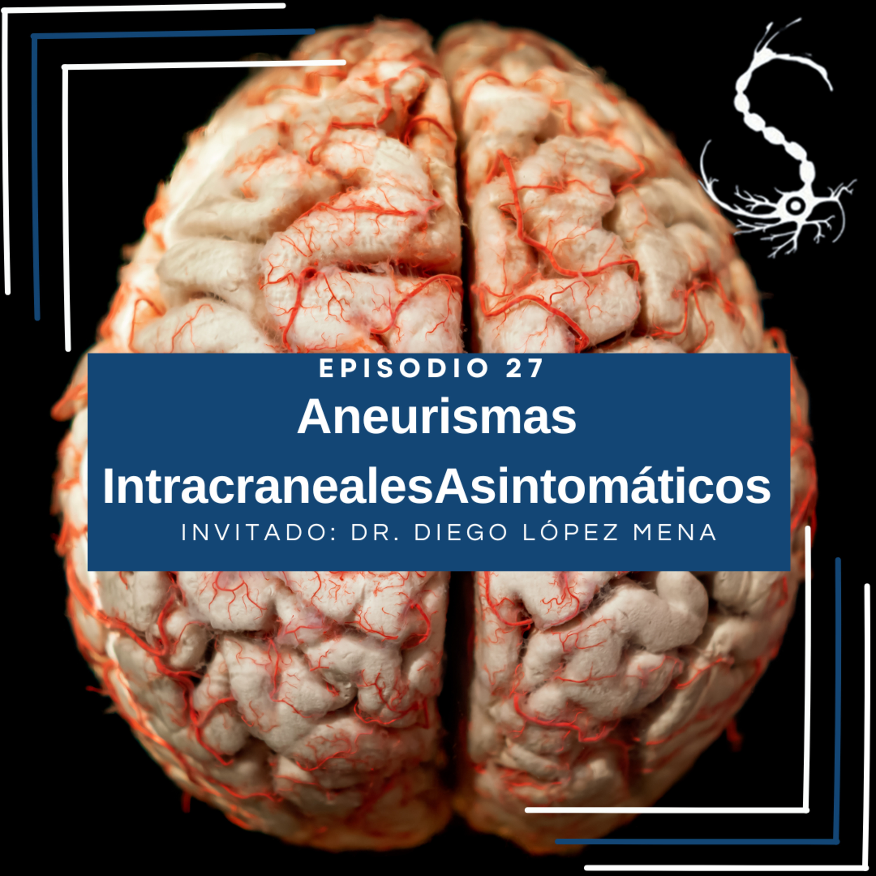 SINNNapsis - T1 Neurología