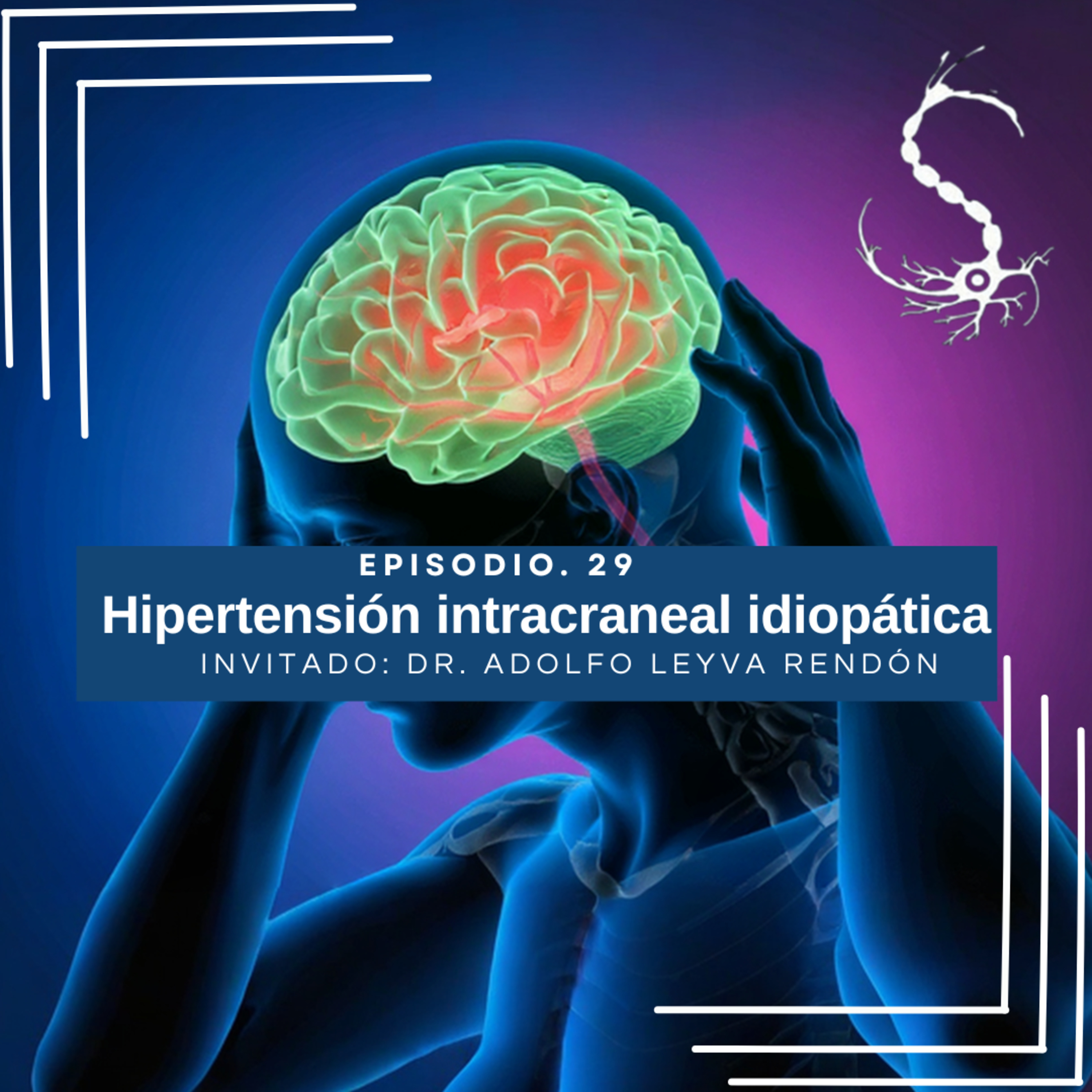 SINNNapsis - T1 Neurología