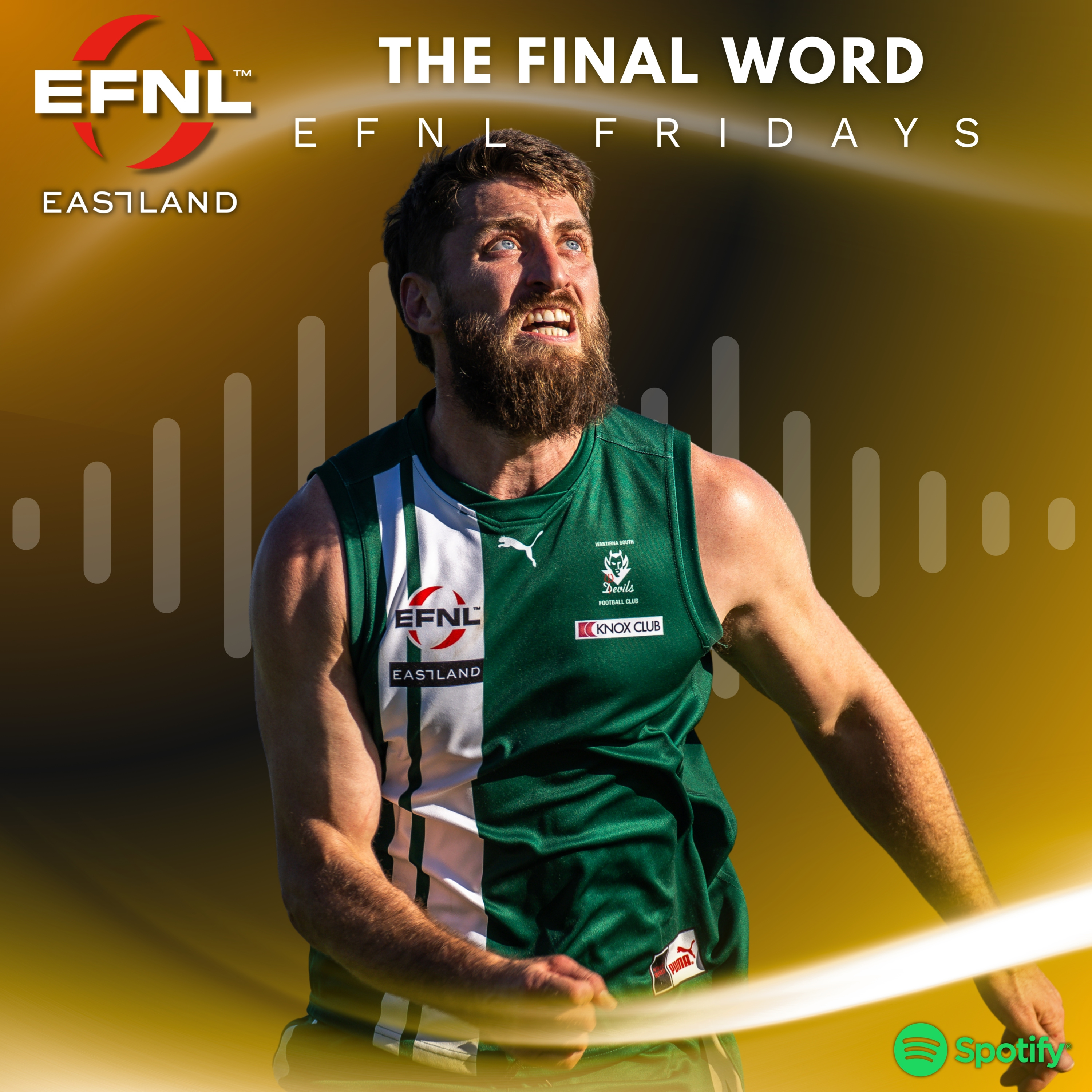 EFNL Fridays | The Final Word episode artwork
