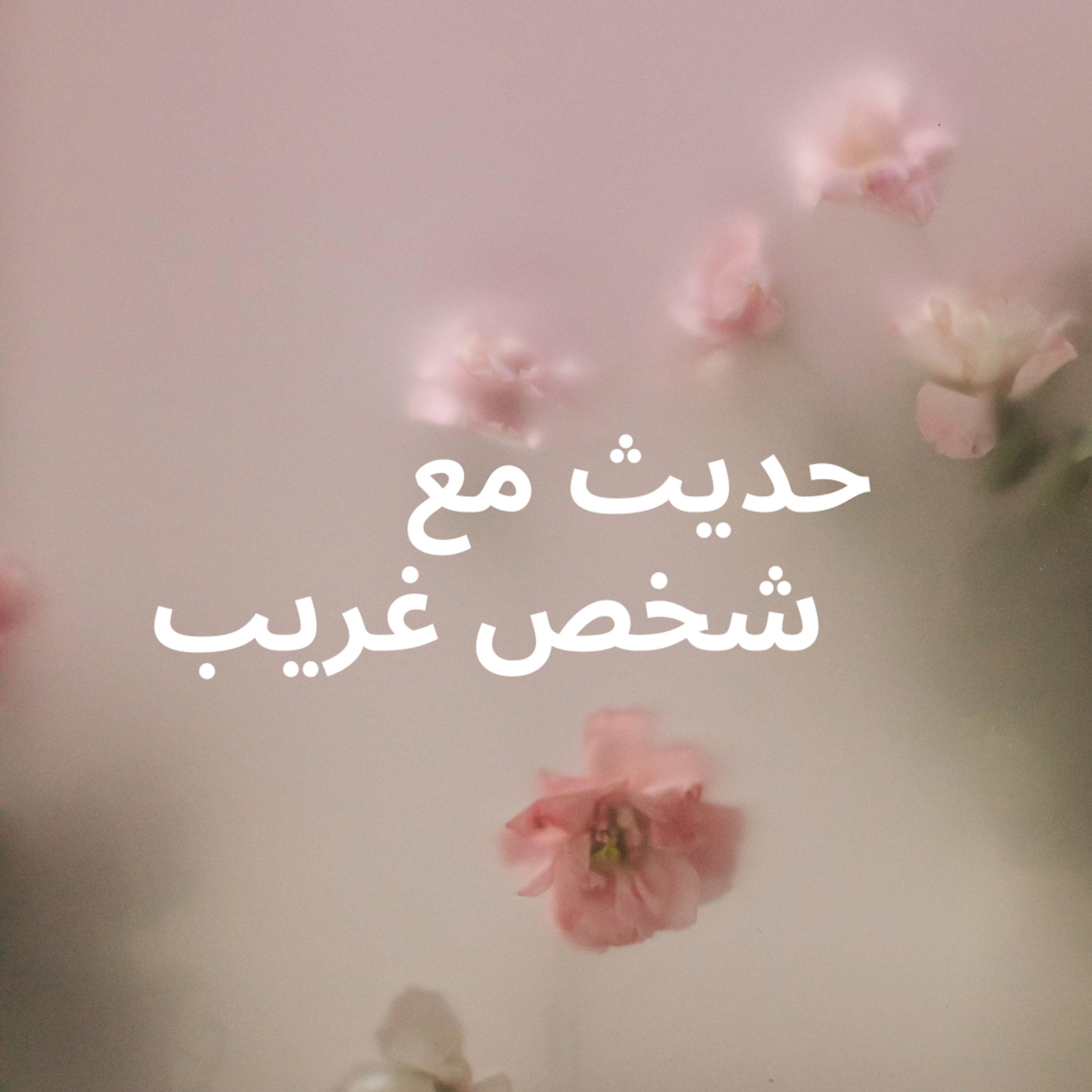 #78- A conversation with a stranger :حديث مع شخص غريب episode artwork