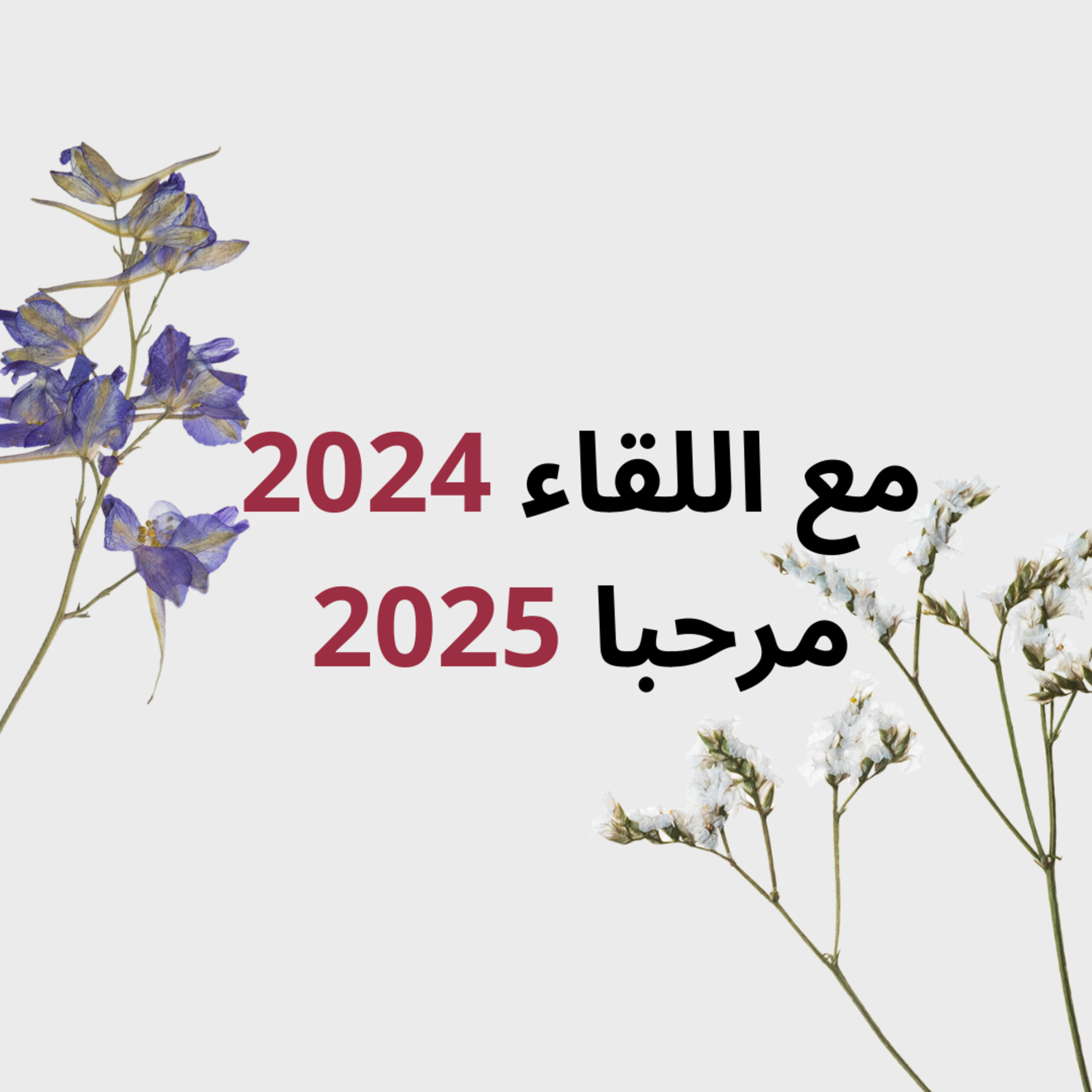 Special Episode - 2024 Bye 2025 Hello! episode artwork