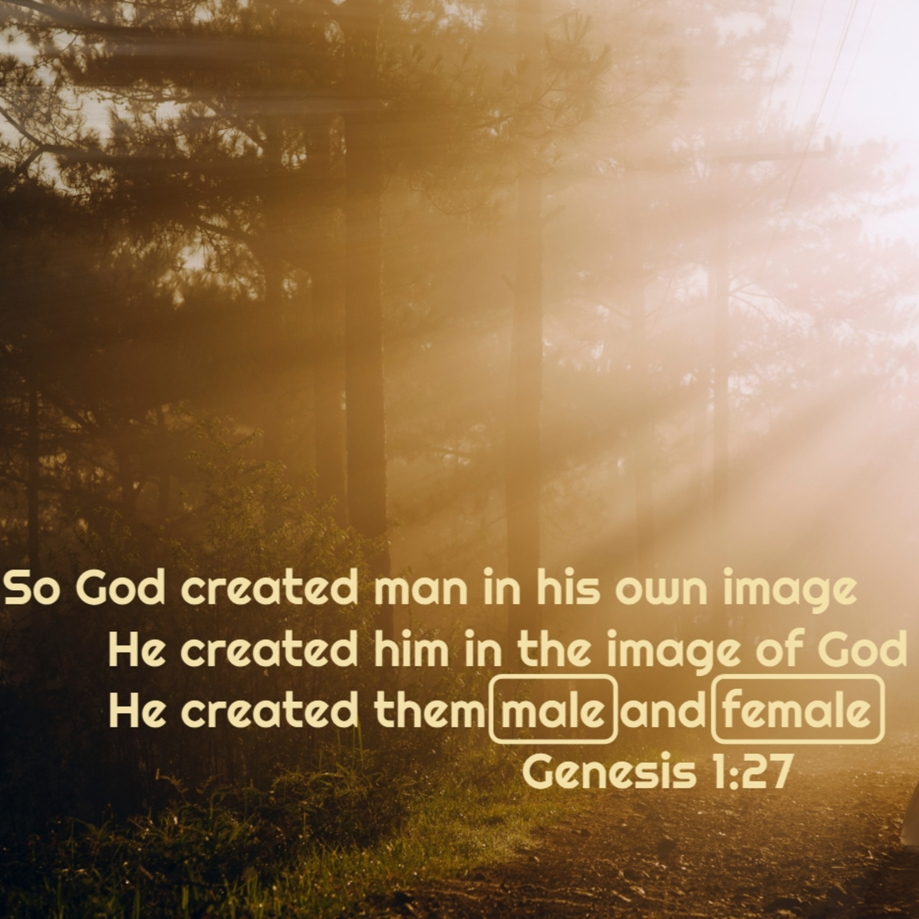 Romans 1:16-32 | Against Nature episode artwork