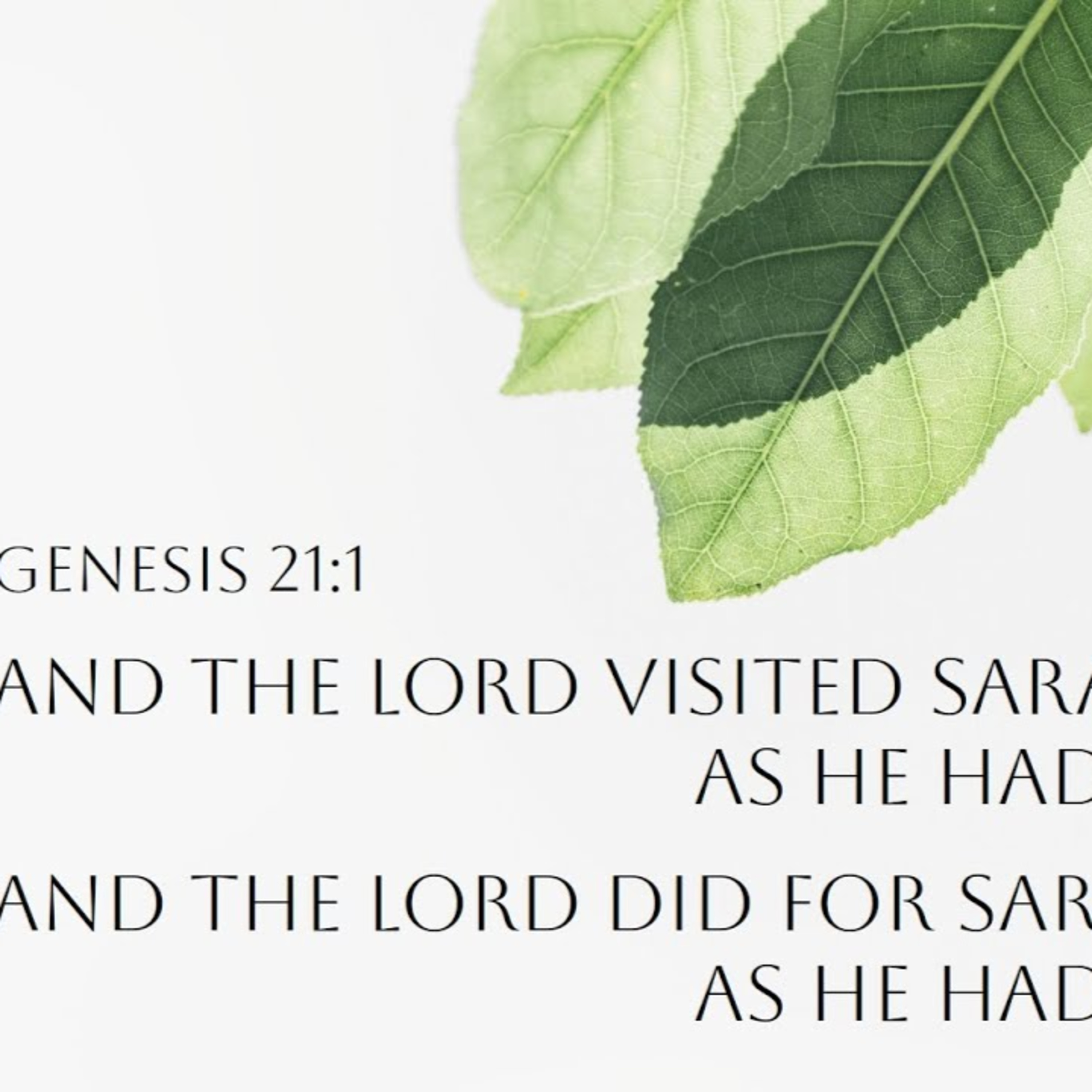 Genesis 21:1-21 | Because He Is Your Seed episode artwork