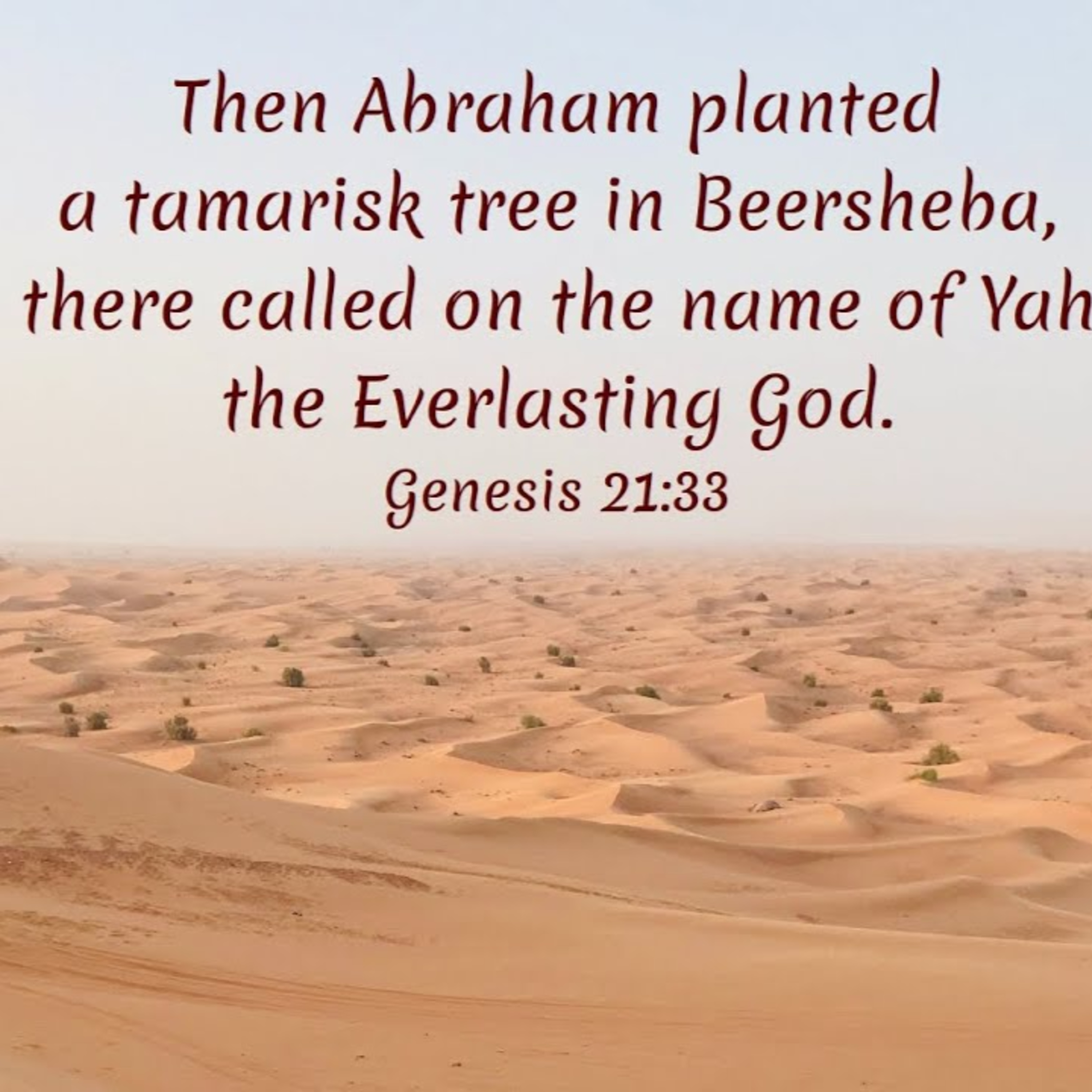 Genesis 21:22-34 | Abraham, Man of Peace episode artwork