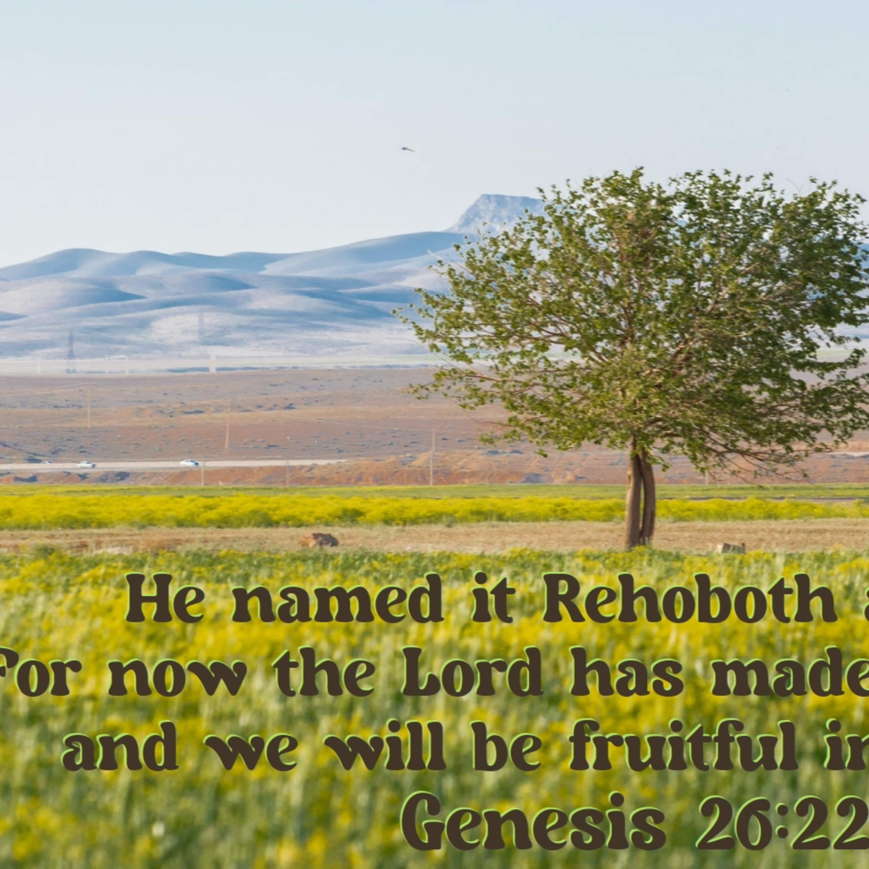Genesis 26:1-33 | Becoming God's Sojourner episode artwork