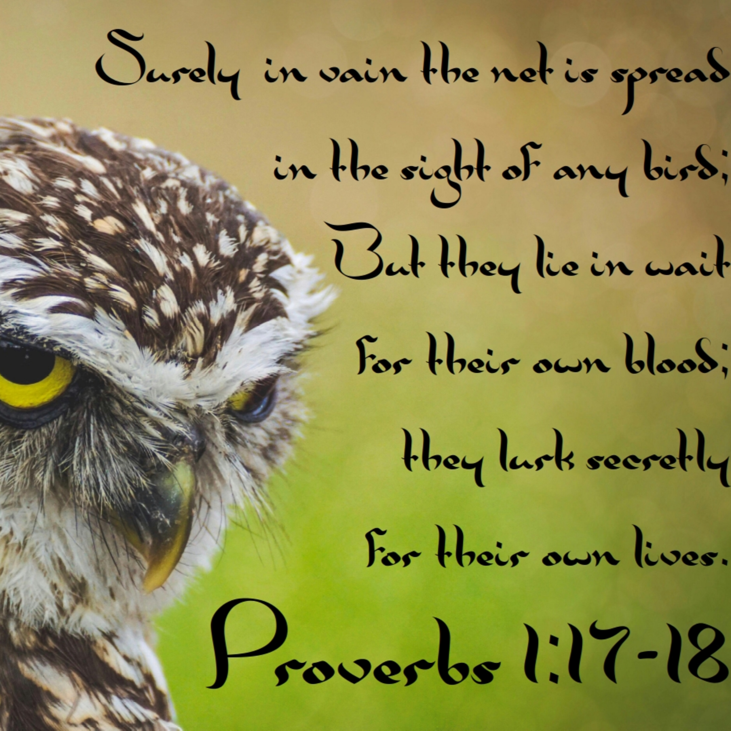 Proverbs 1:8-33 | Wisdom Is Calling for You episode artwork