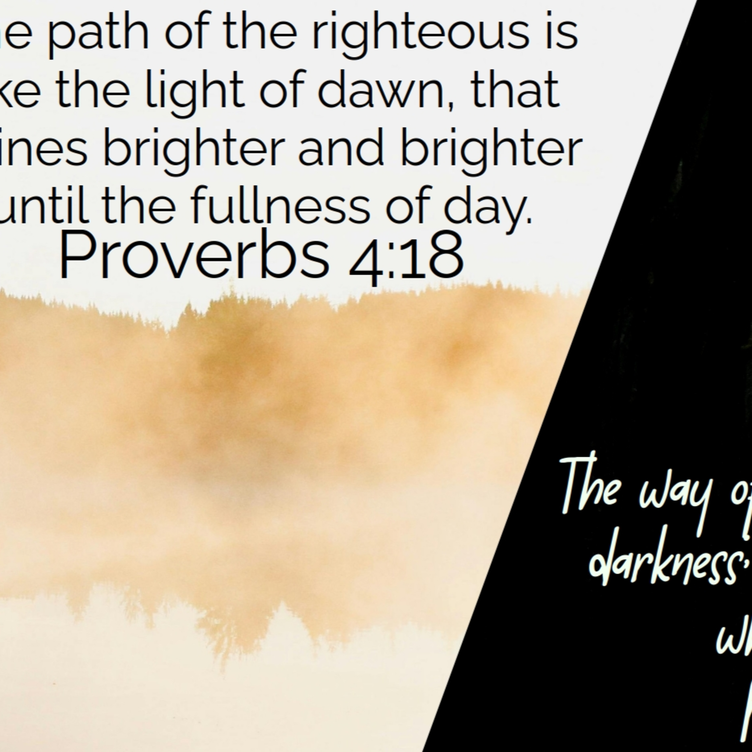 Proverbs 4:1-27 | Two Ways to Live episode artwork