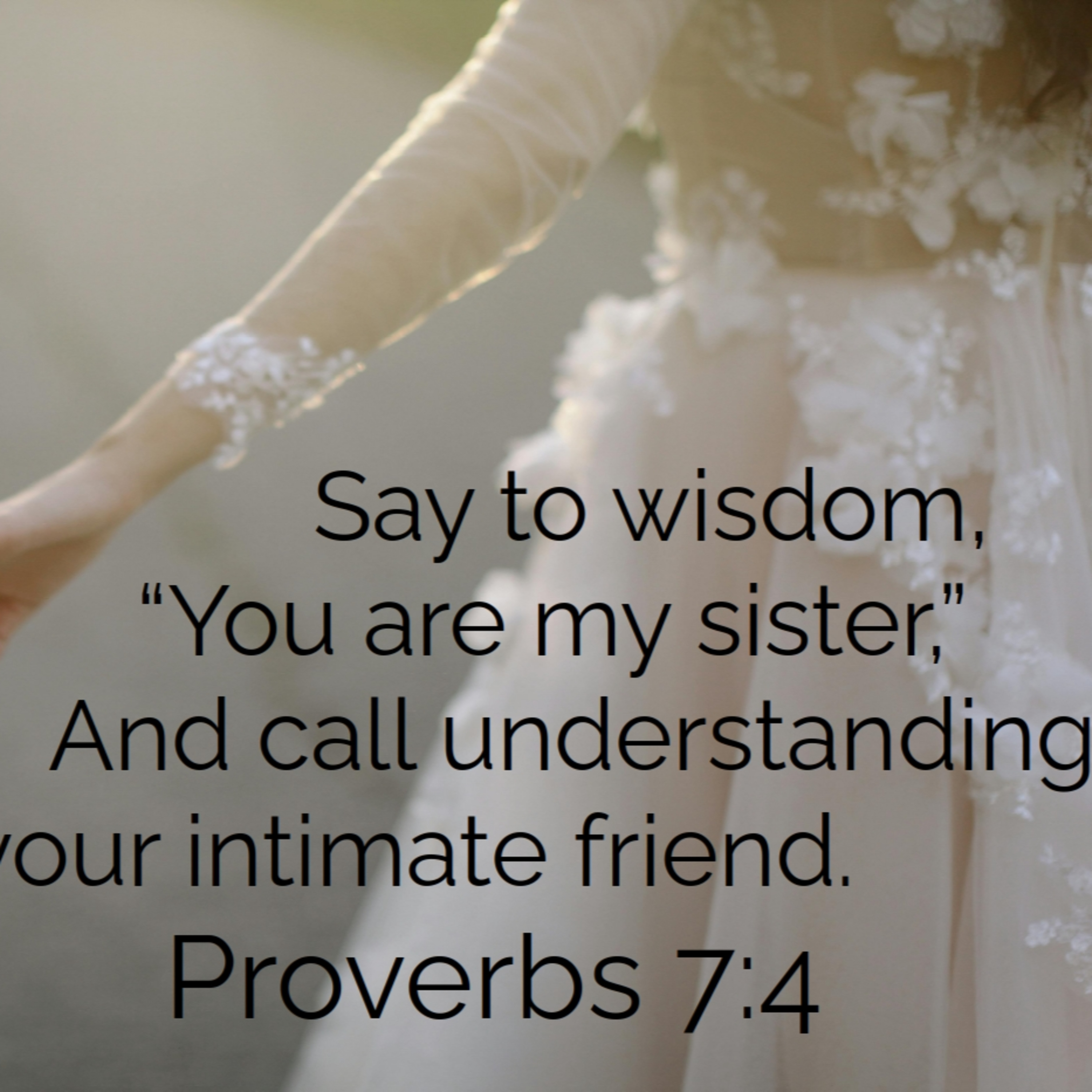 Proverb 7:1-27 | A Wisdom Parable episode artwork