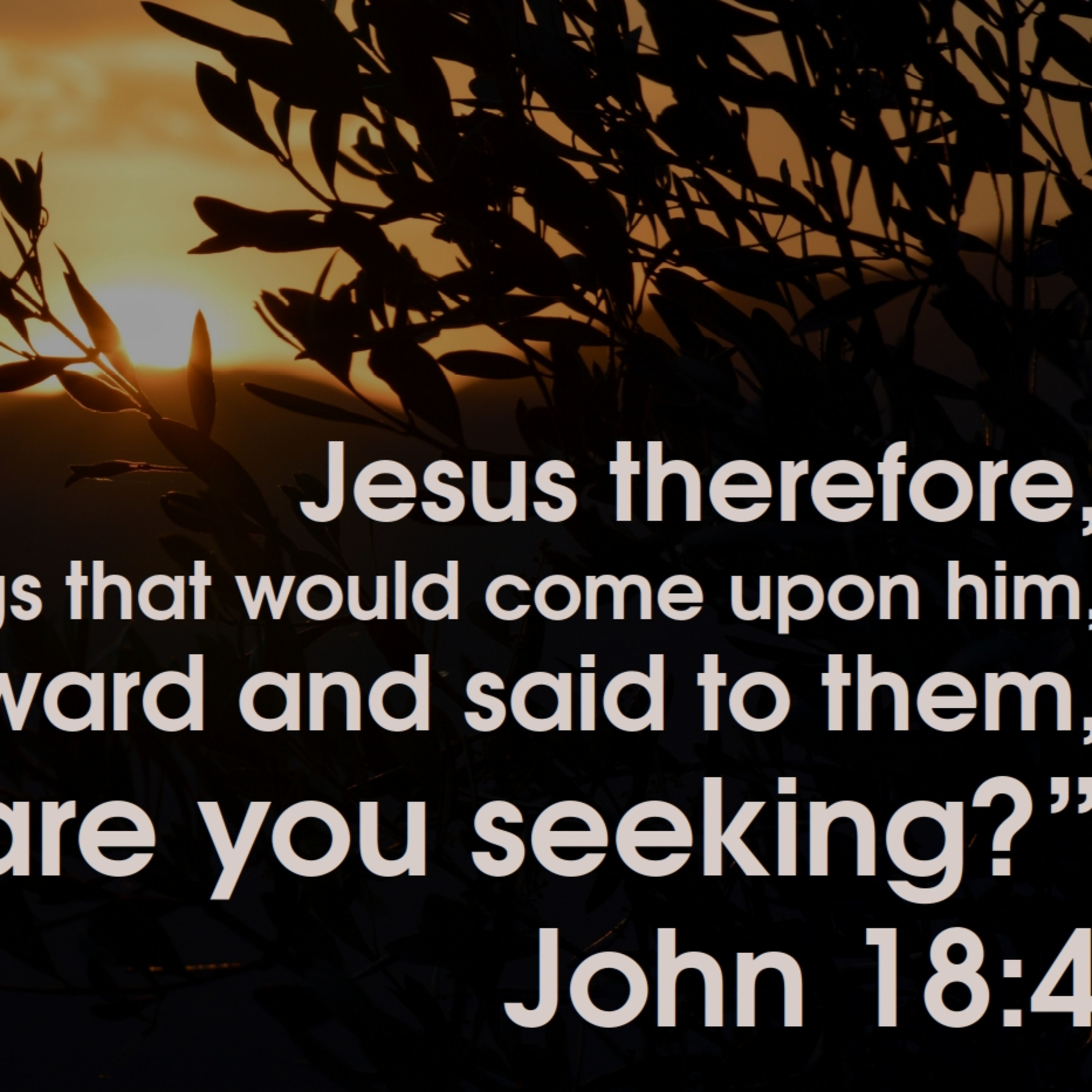 John 18:1-27 | To Do the Father's Will episode artwork