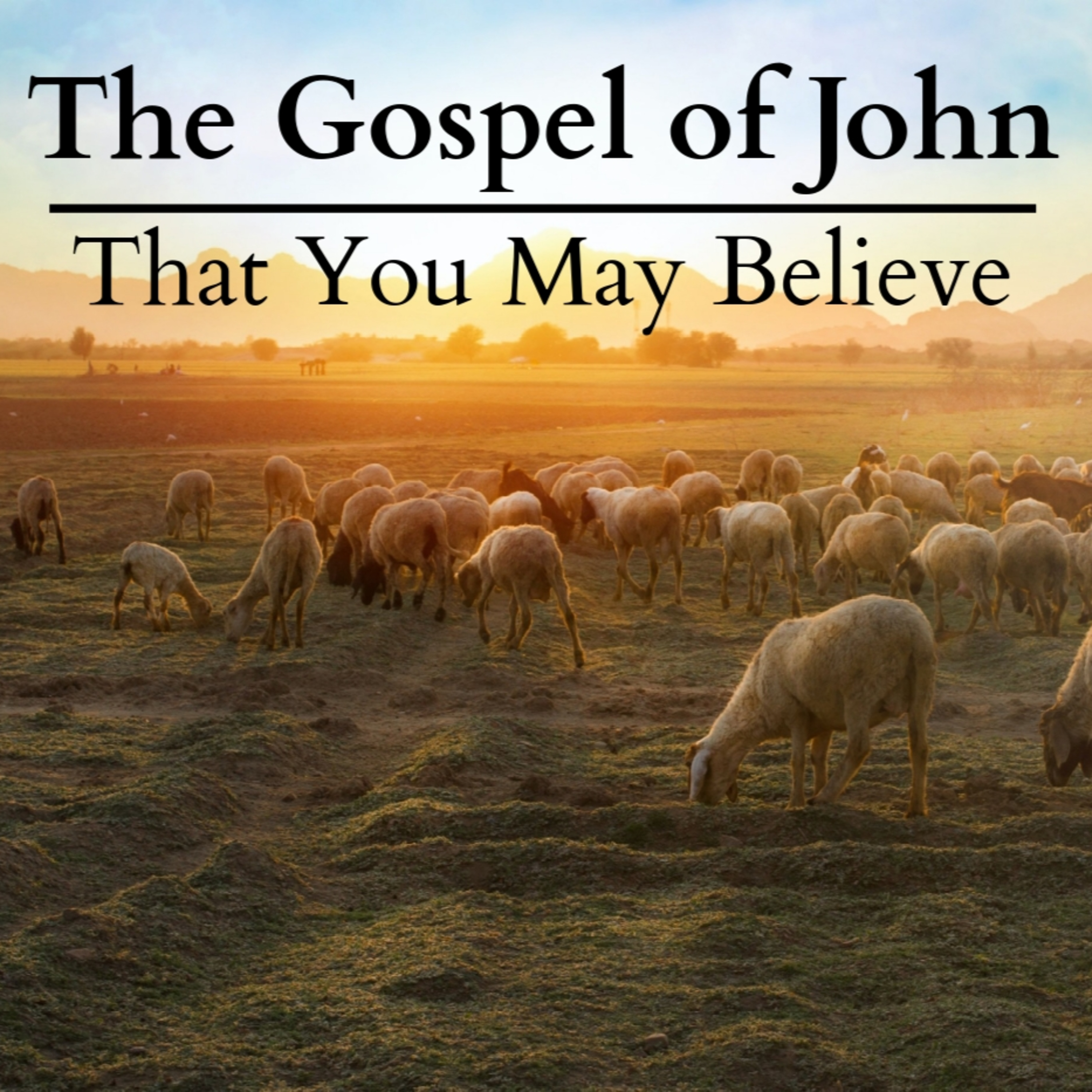 John 20:19-31 | Jesus is Risen, So What? episode artwork
