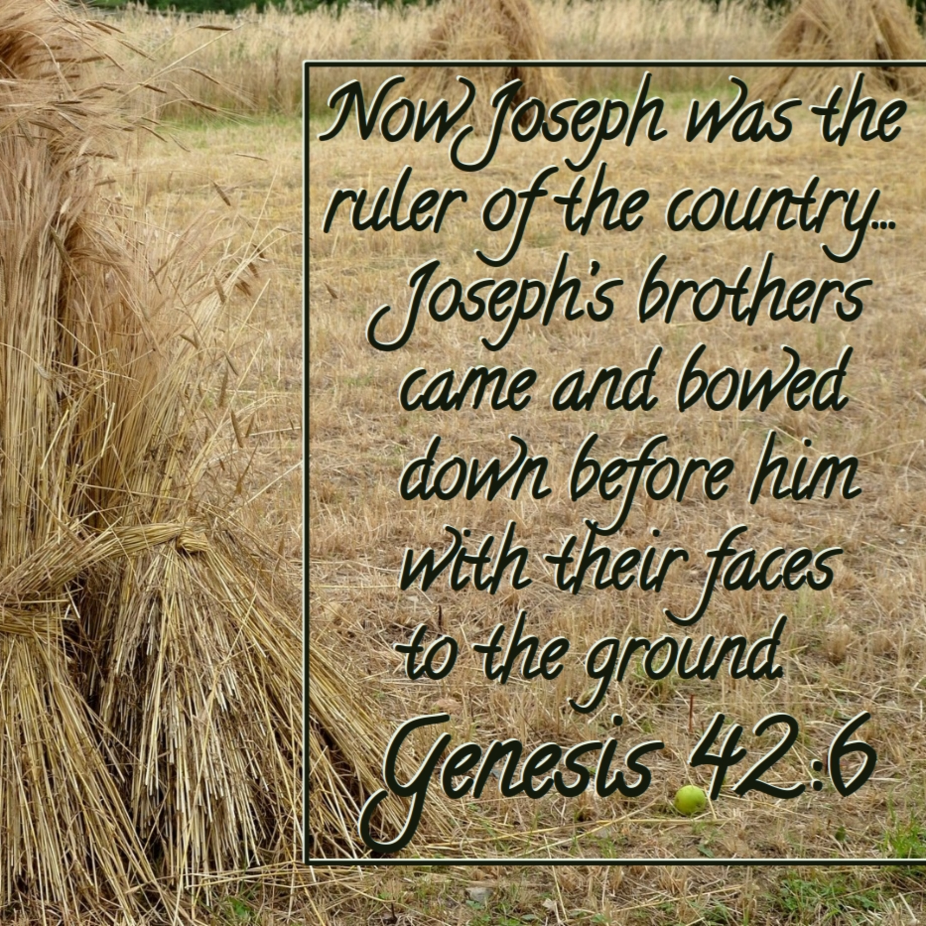 Genesis 42:1-38 | The Reunion Begun episode artwork