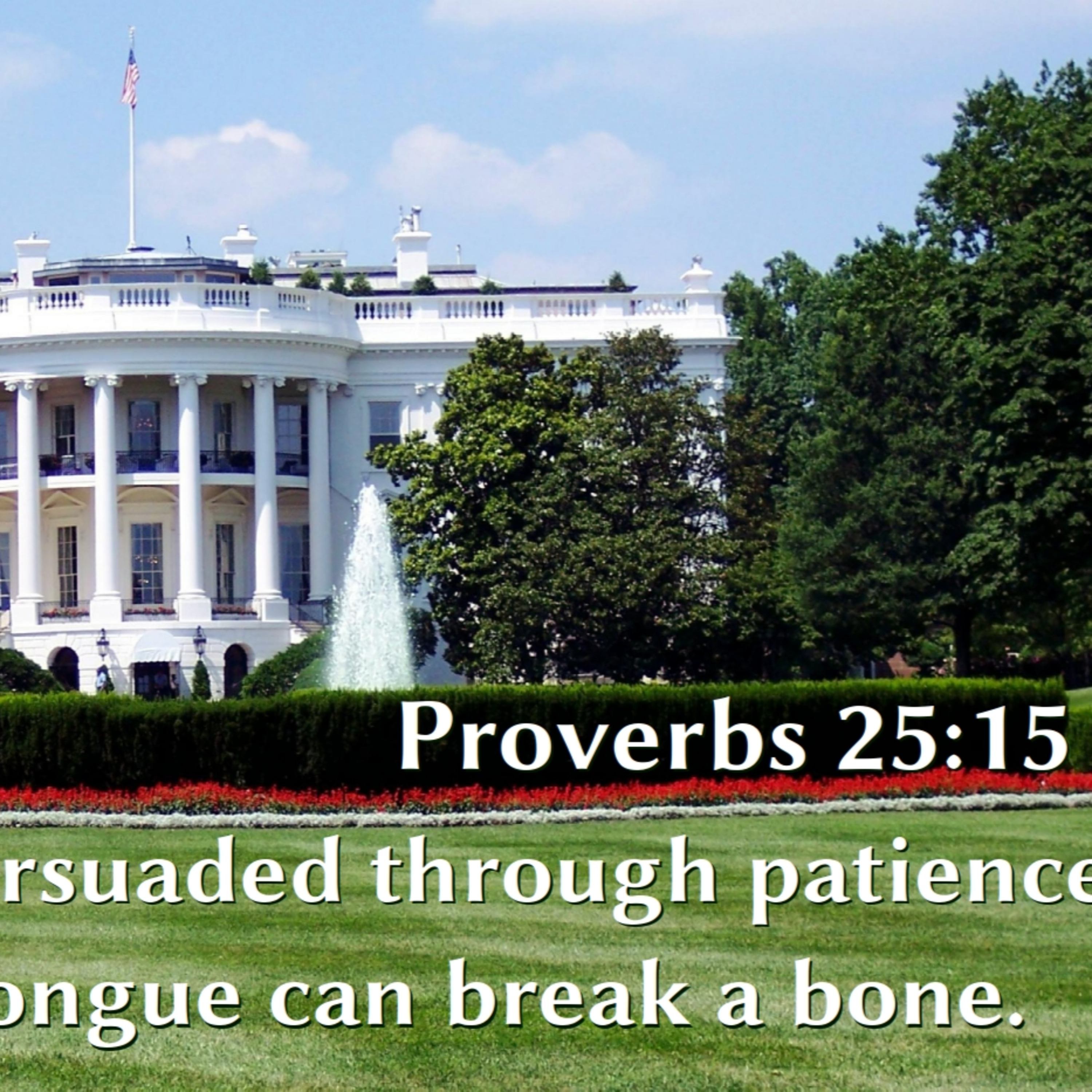 Proverbs - On Speech, Part 2 episode artwork