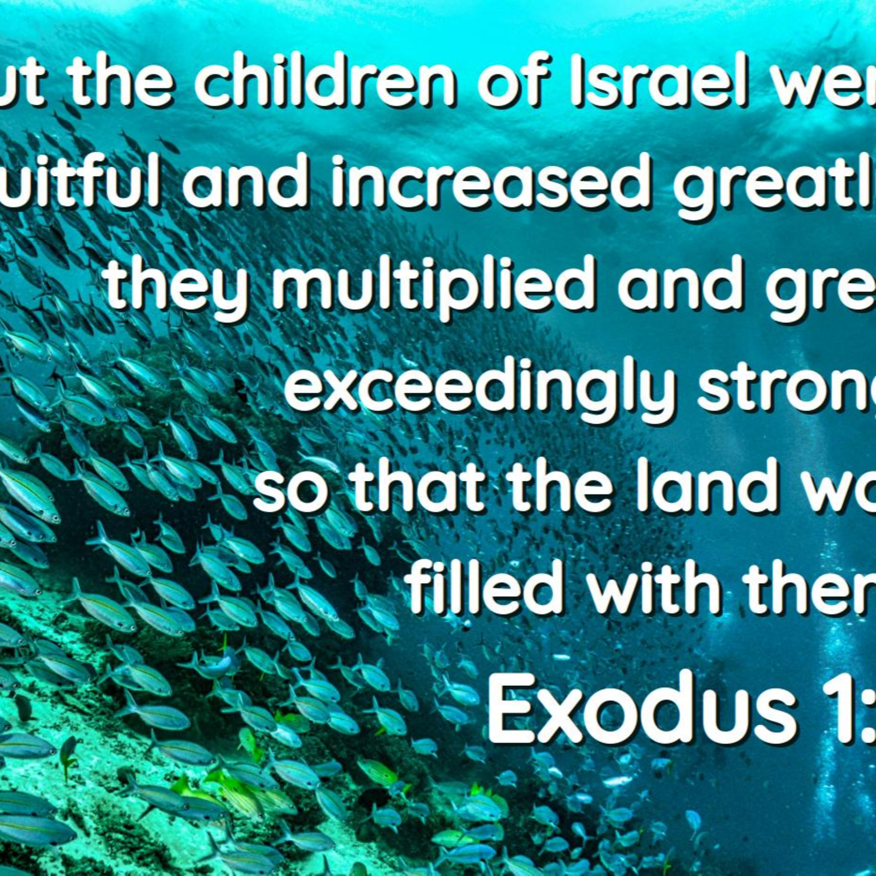 Exodus 1:1-7 | God is Pro-Life episode artwork