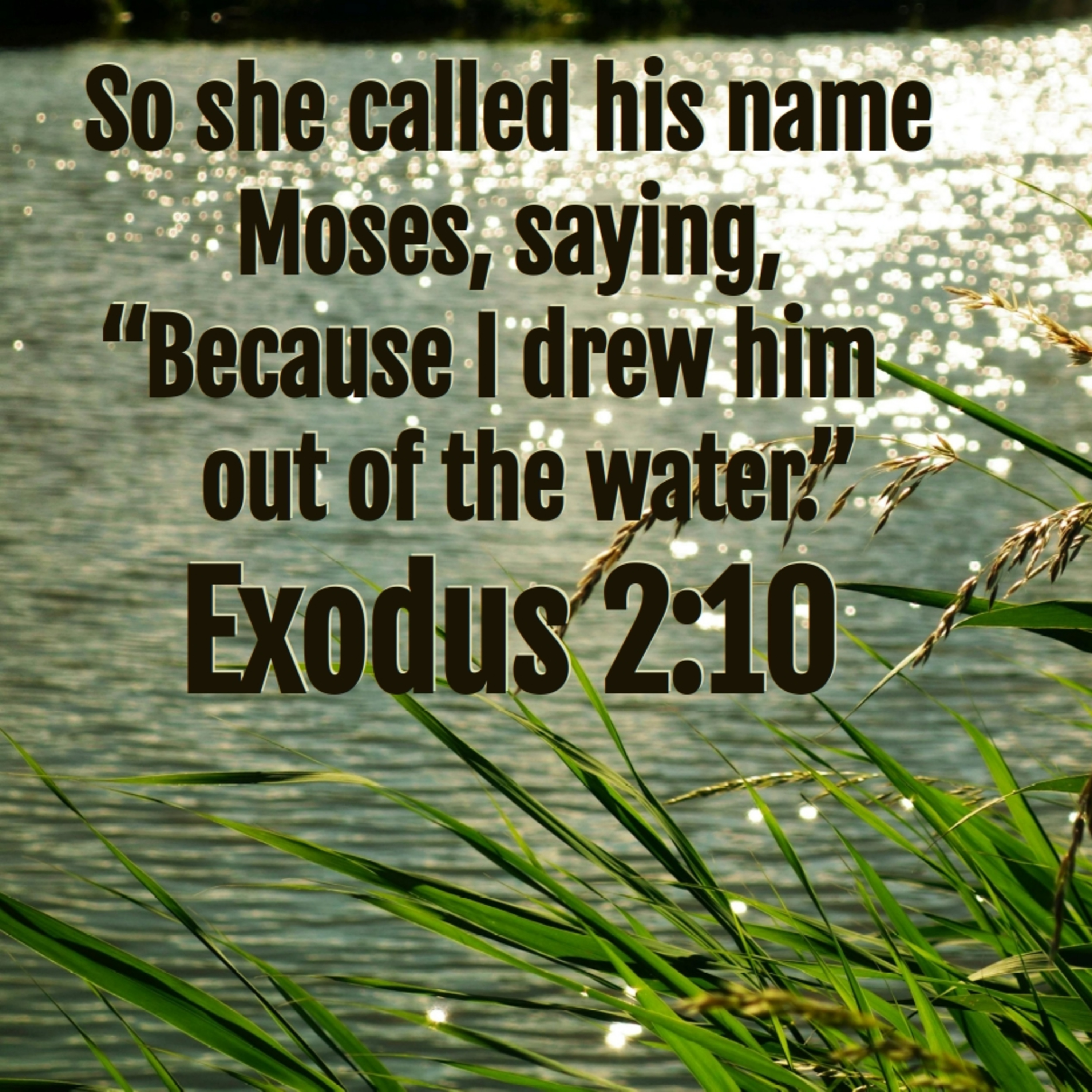 Exodus 2:1-25 | God Moves in a Mysterious Way episode artwork