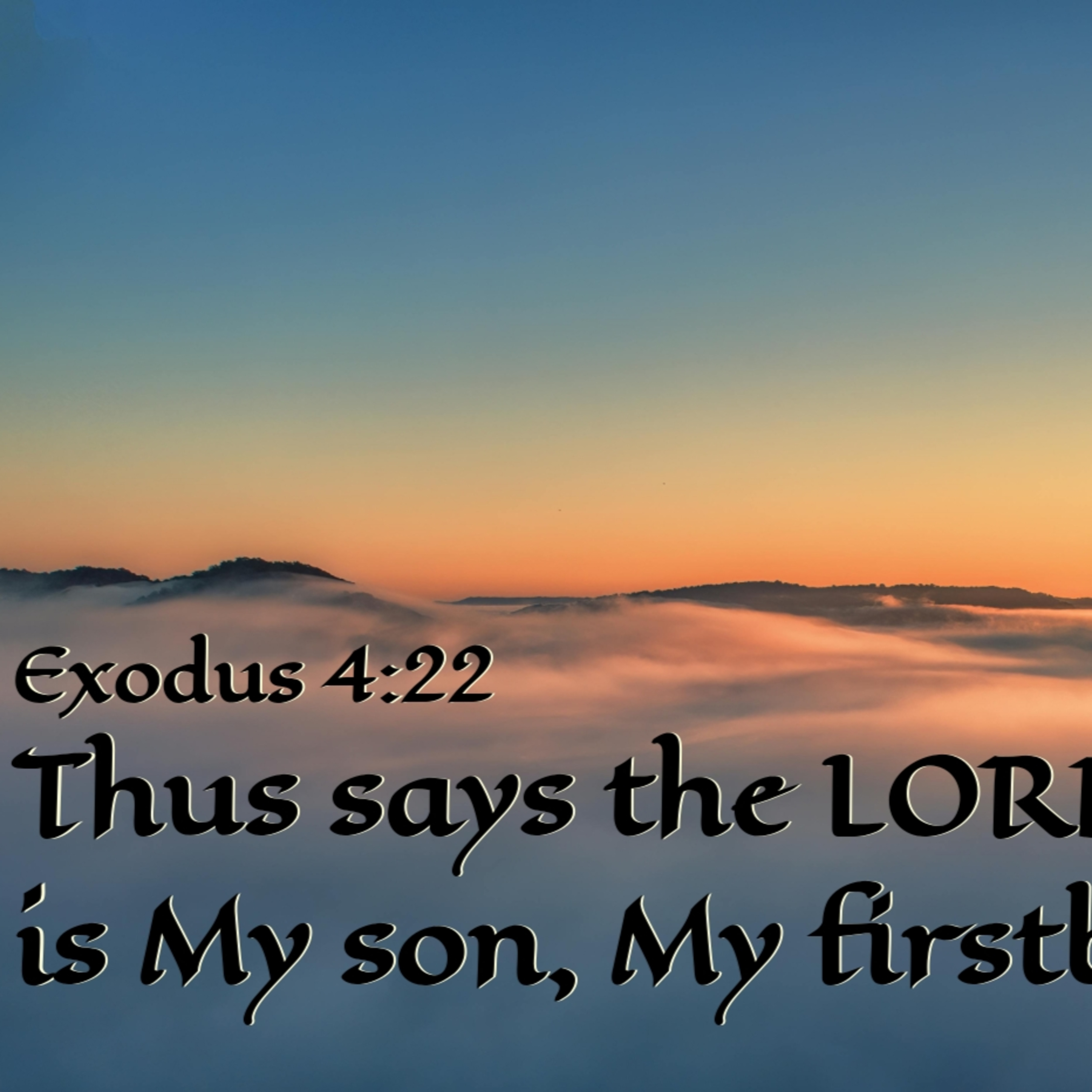 Exodus 4:18-31 | Israel, My Firstborn episode artwork