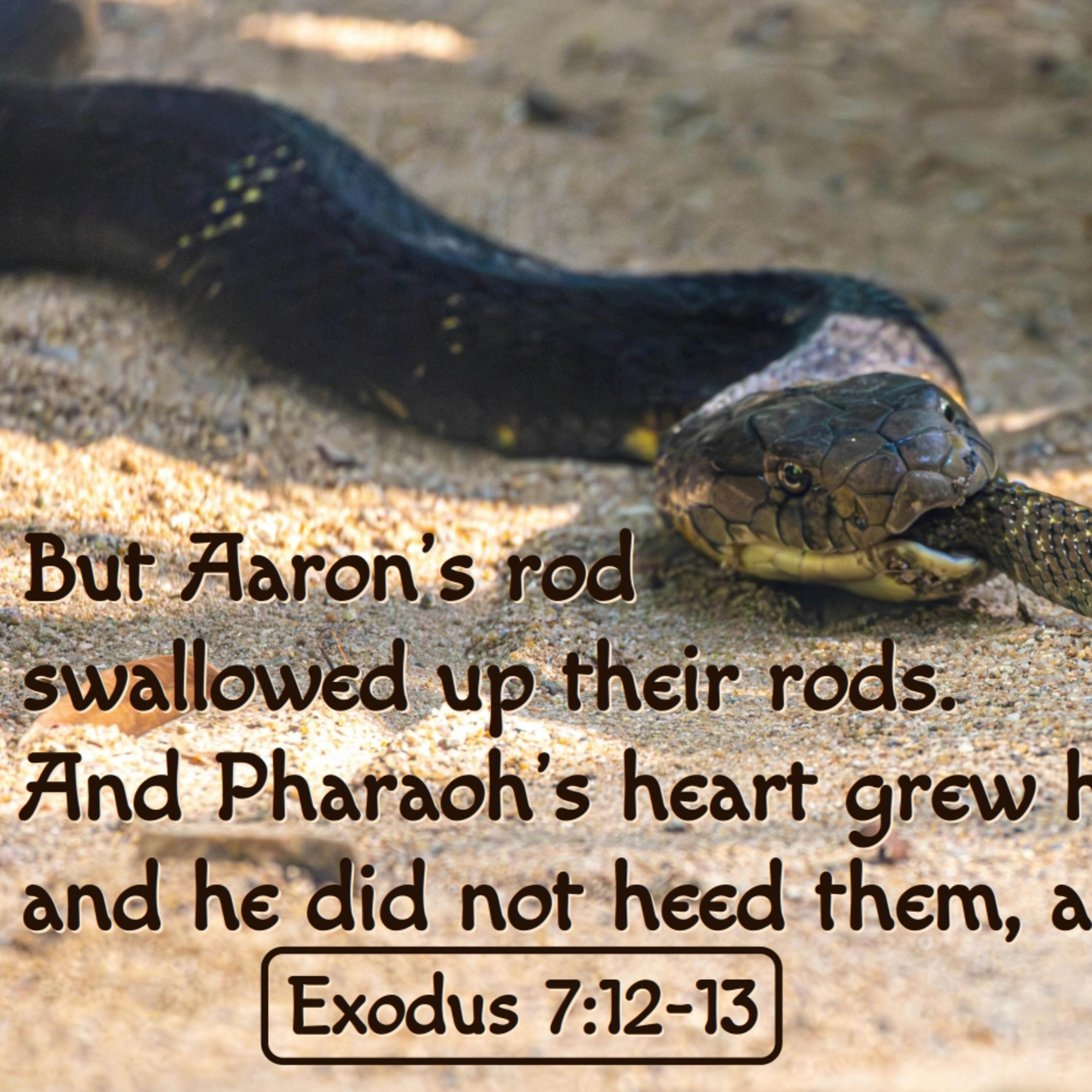 Exodus 6:28-7:13 | Who is Yahweh? episode artwork