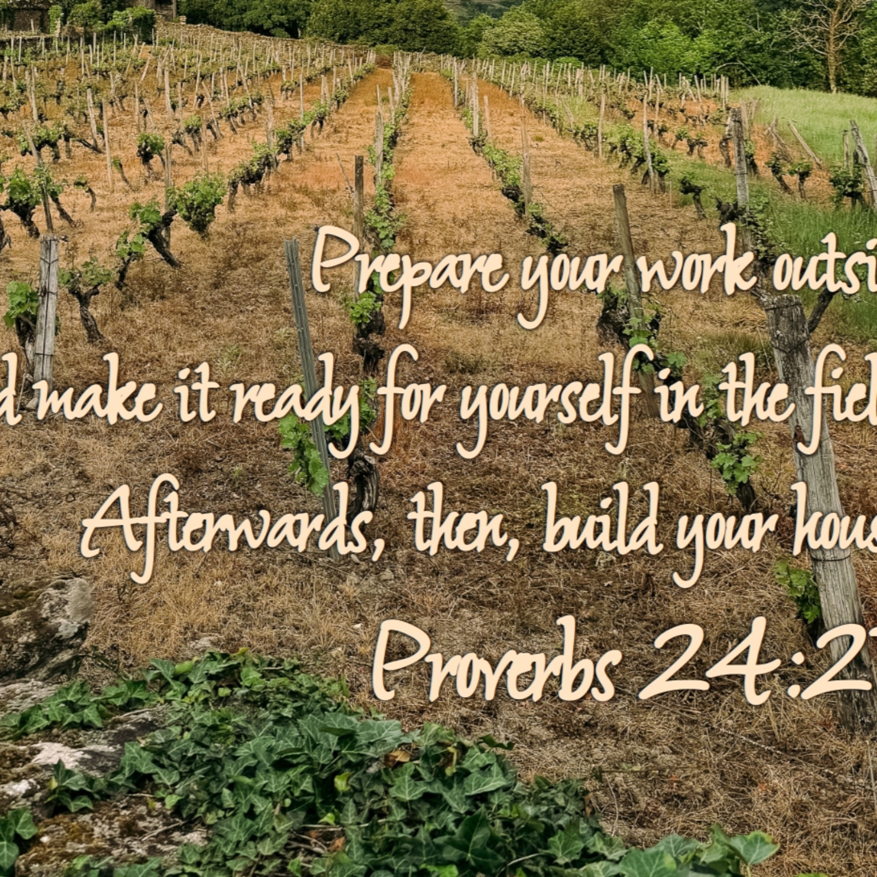Proverbs 24:23-34 | A Well-Ordered Life episode artwork