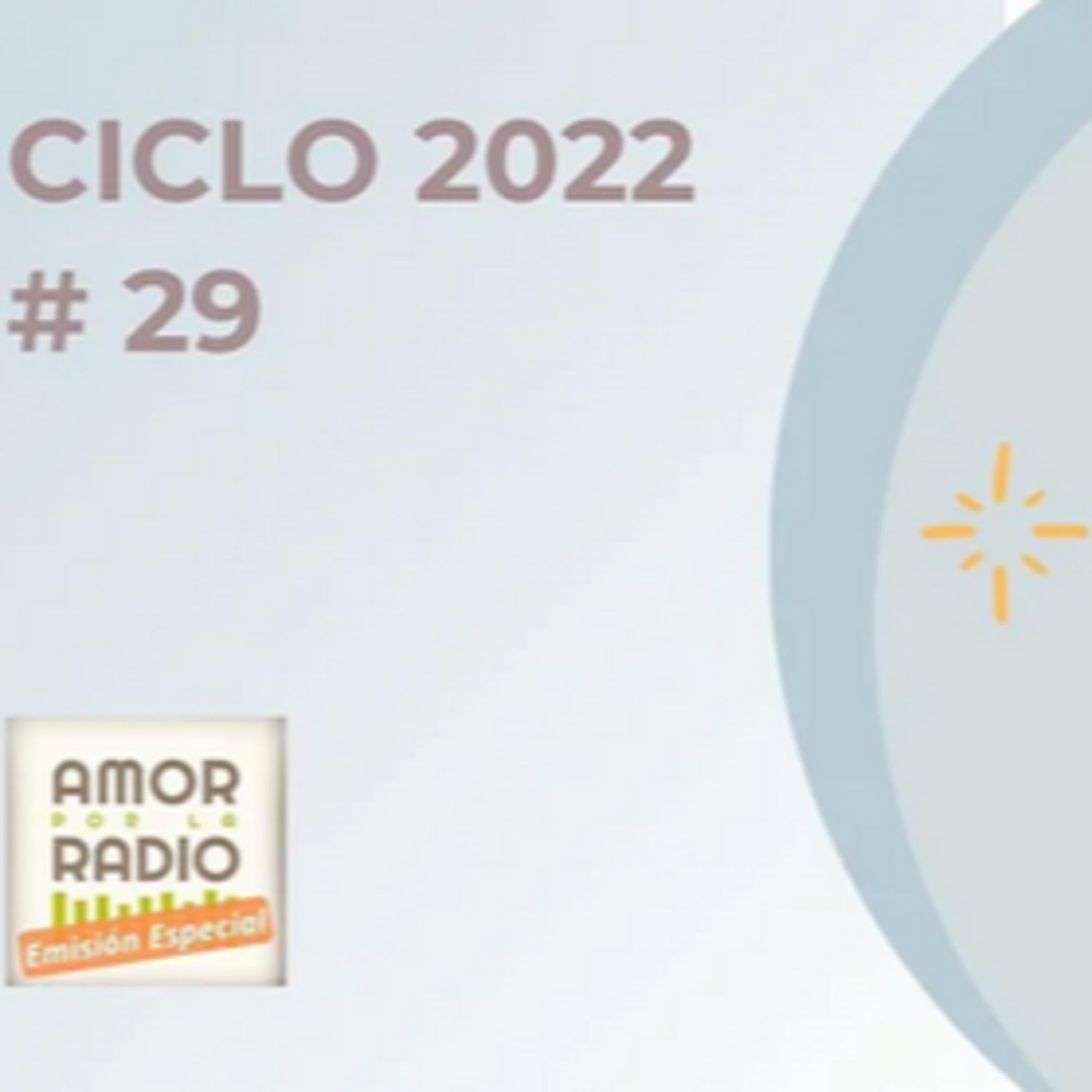 AMOR POR LA RADIO emisión especial #29 -.06/08/2022 episode artwork