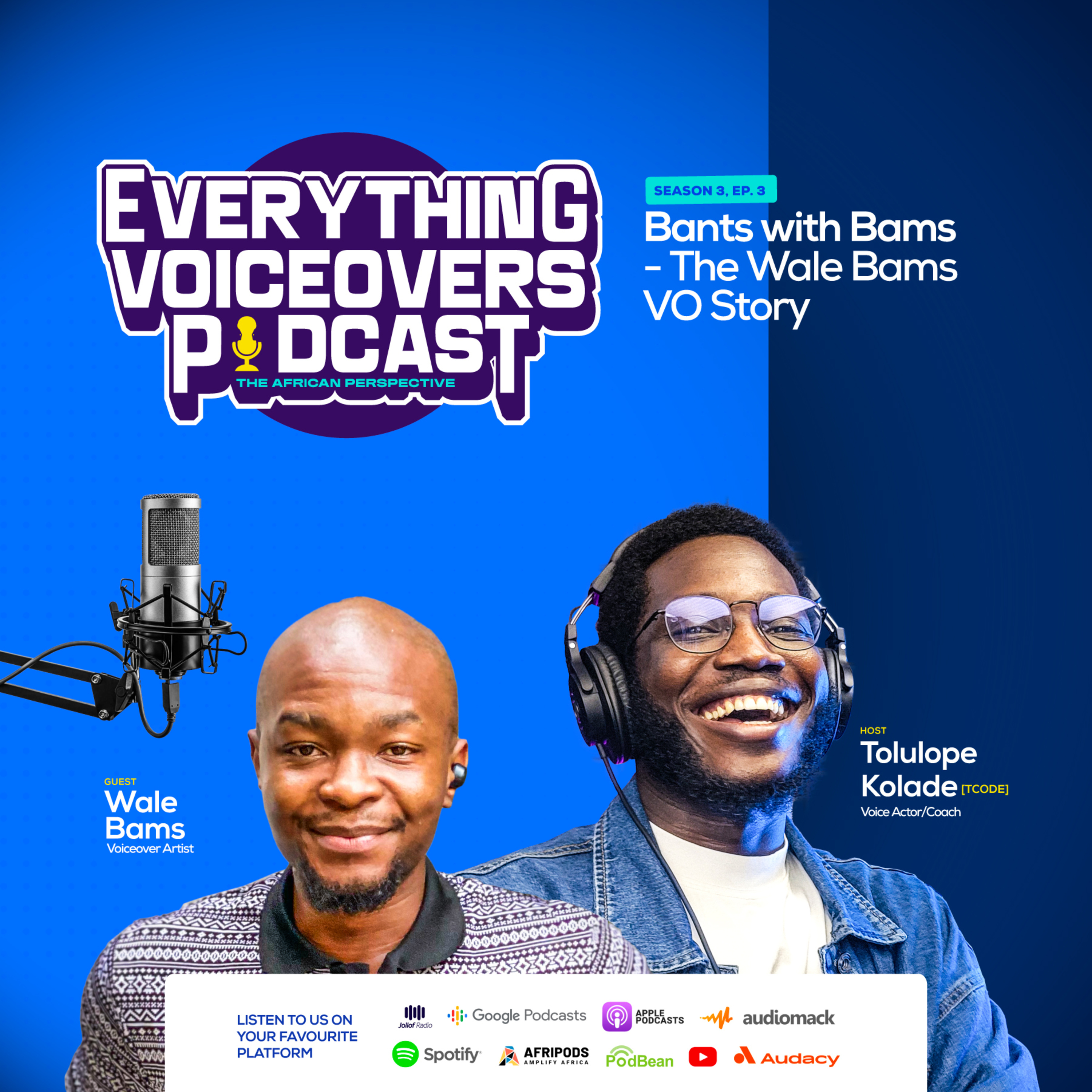 Everything Voiceovers: The African Perspective