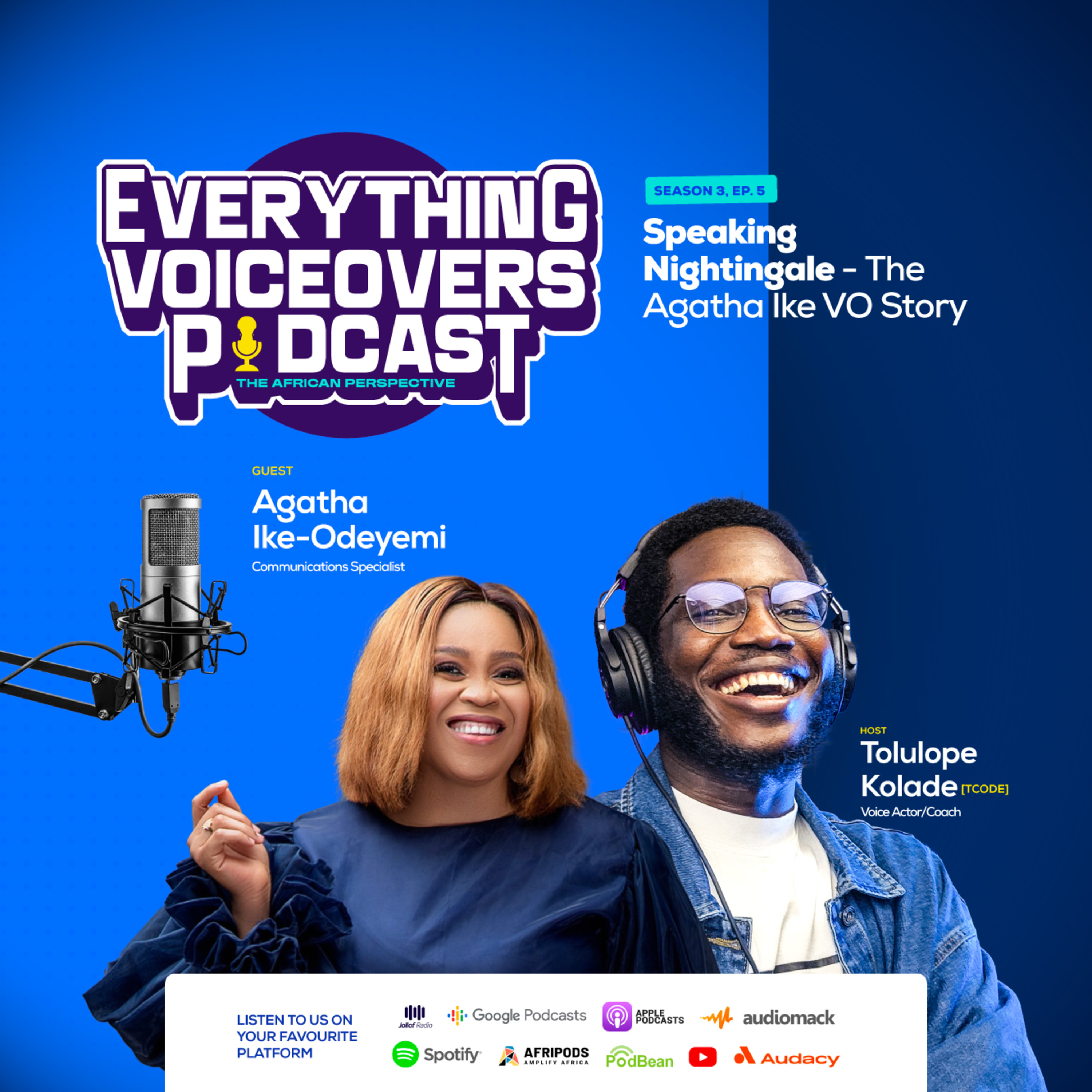 Everything Voiceovers: The African Perspective