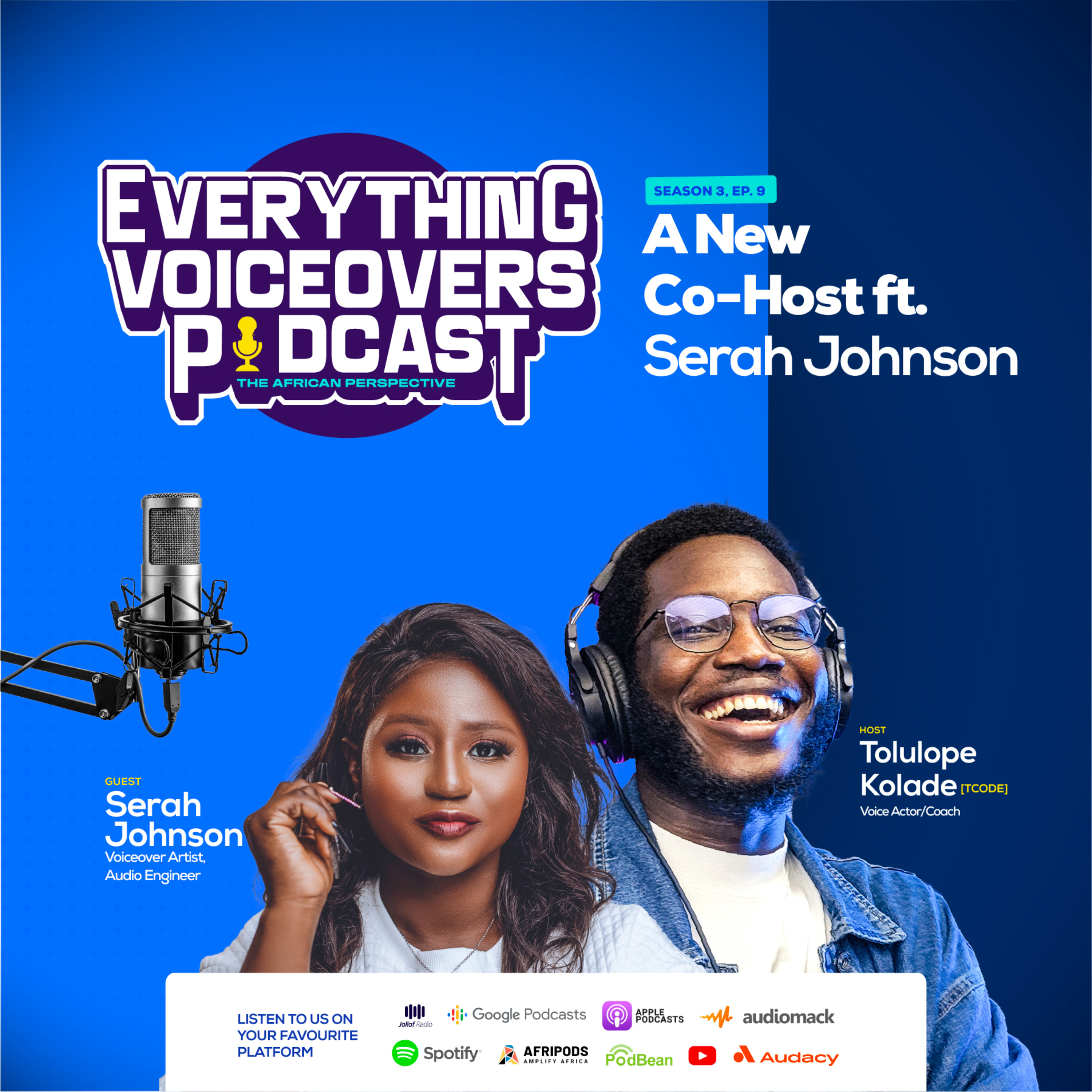 Everything Voiceovers: The African Perspective