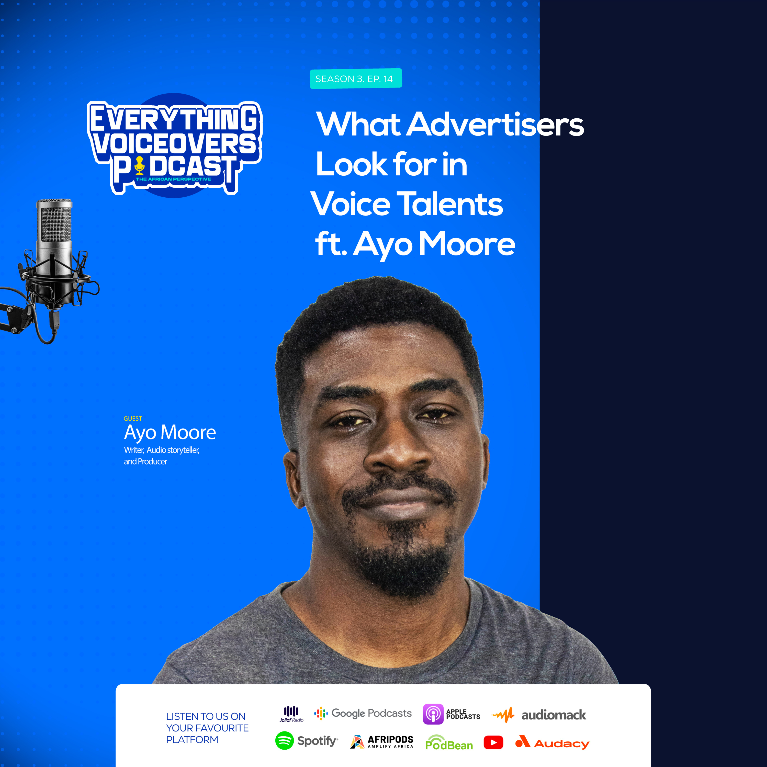 Everything Voiceovers: The African Perspective