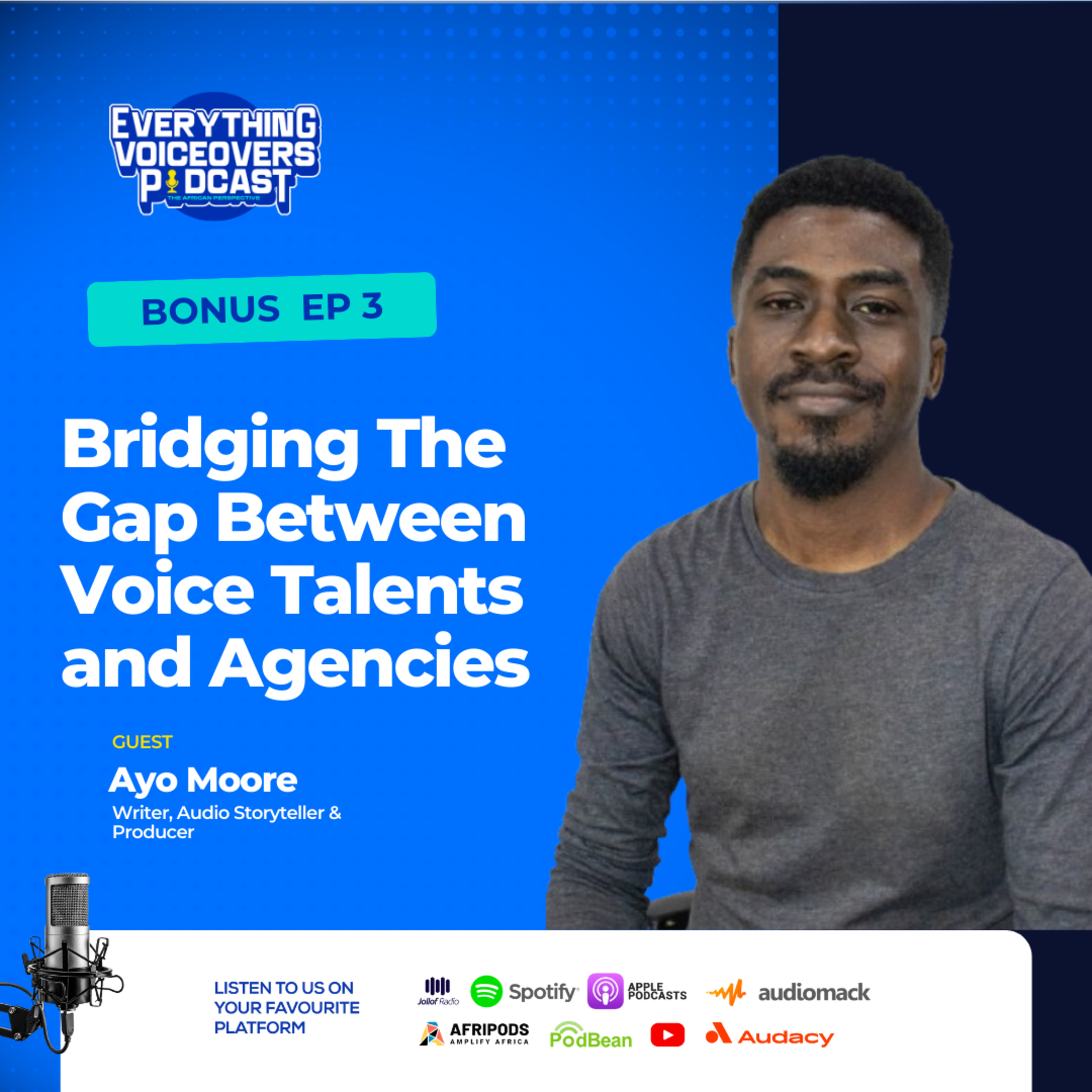 Everything Voiceovers: The African Perspective