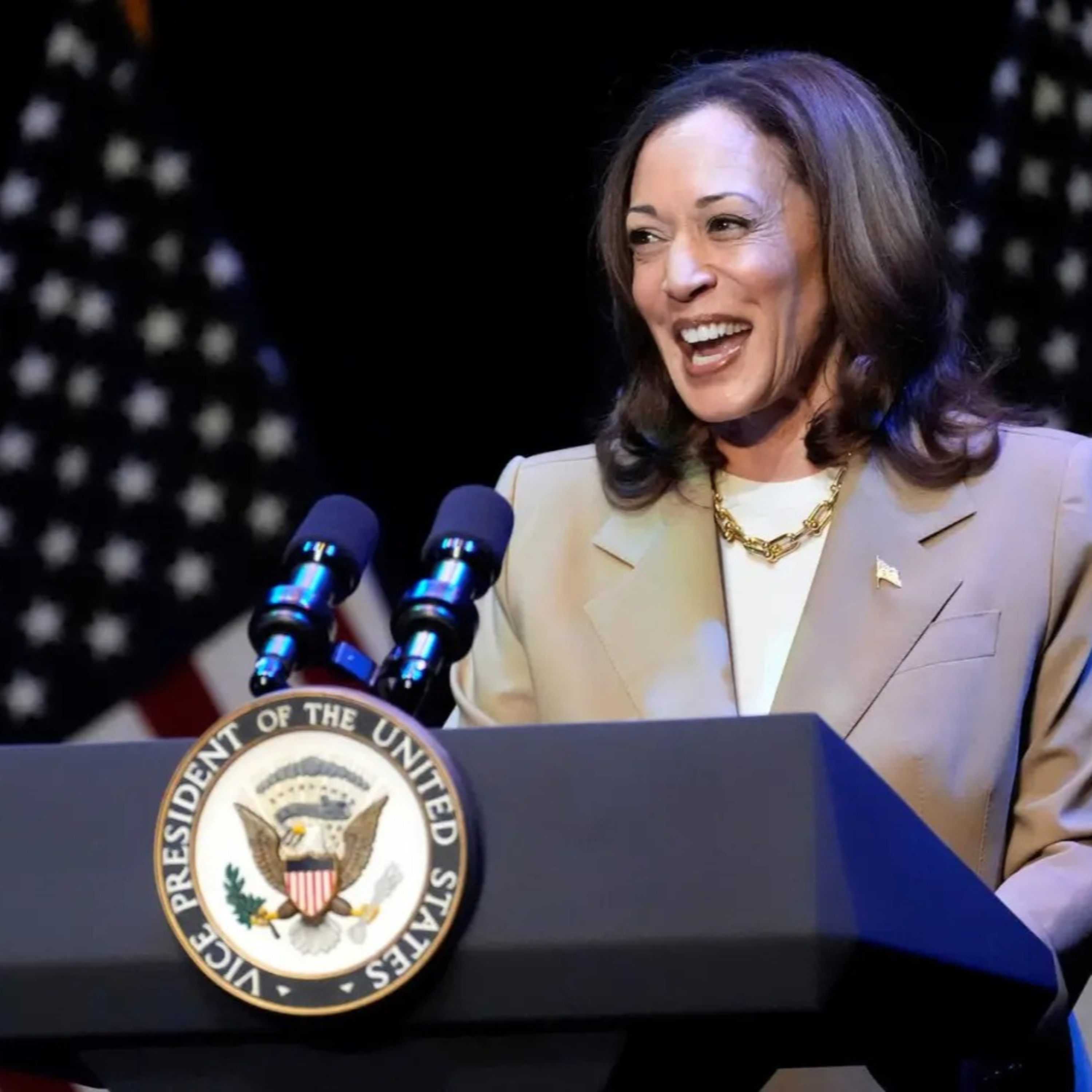 Kamala Harris will push the gender wars!!! Men fighting women in the Olympics??? (ep.82) episode artwork