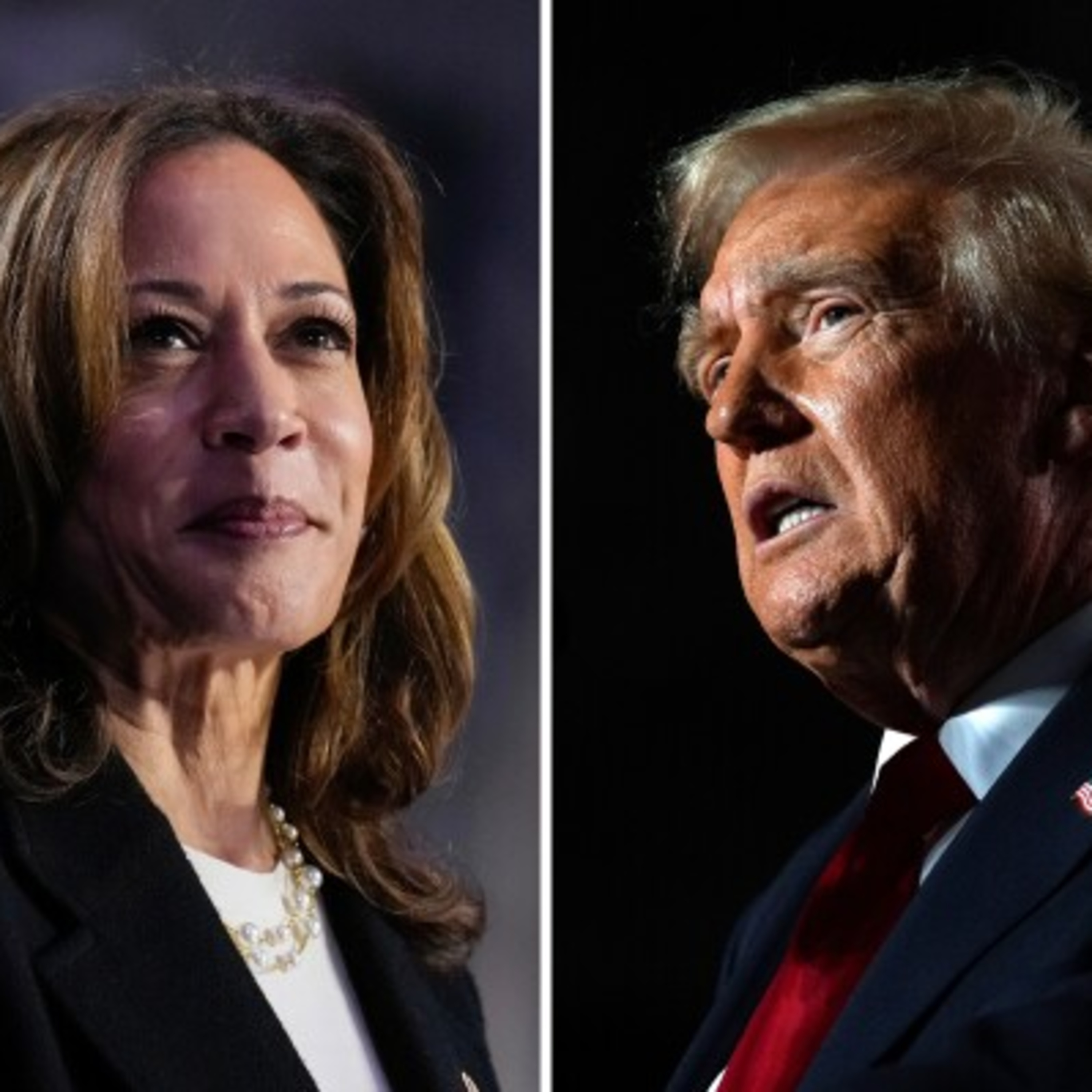 Donald Trump vs Kamala Harris!!! Who wins it all??? And how this affects Canada (ep.91) episode artwork