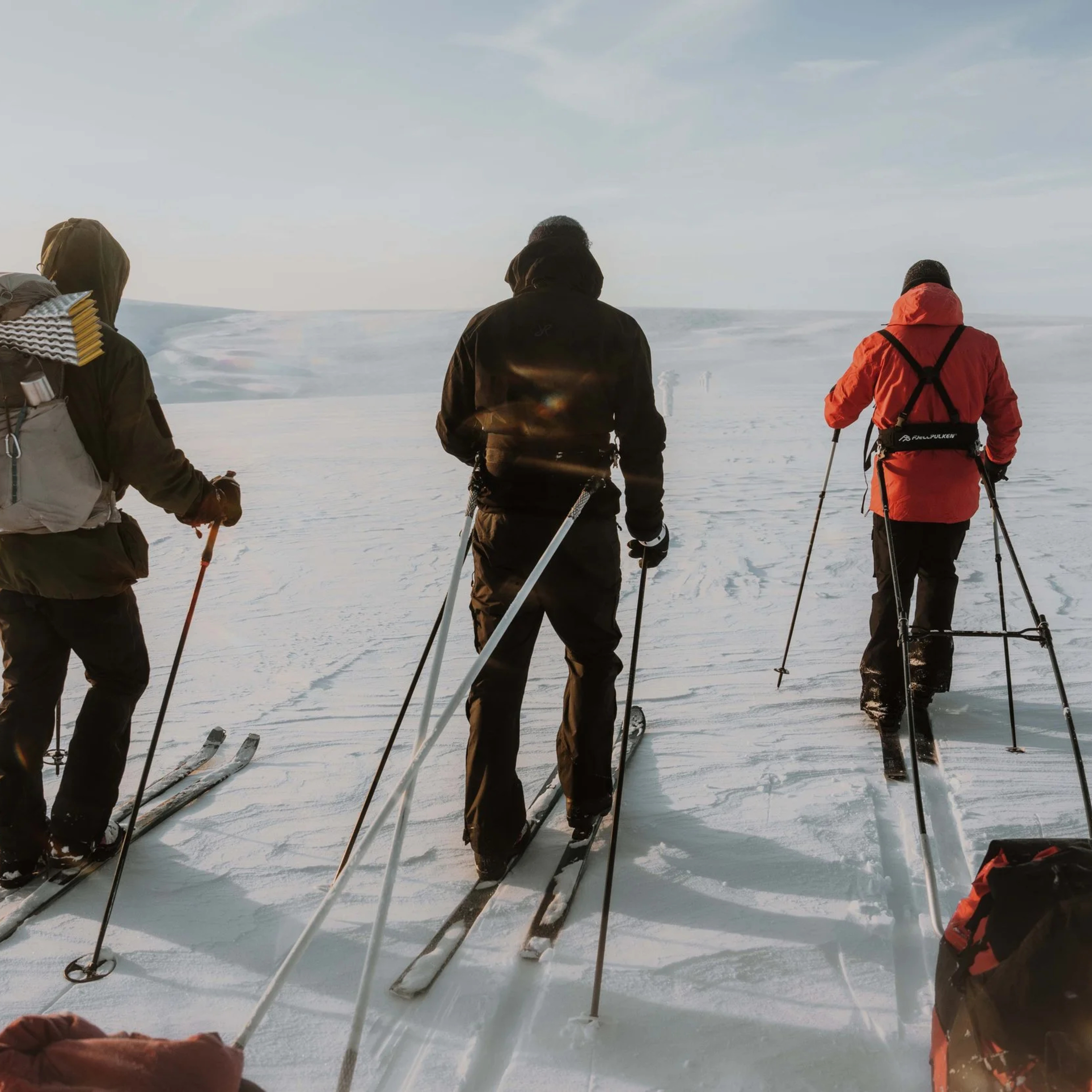 Why We Seek Community in the Wild — with Sophie Nolan